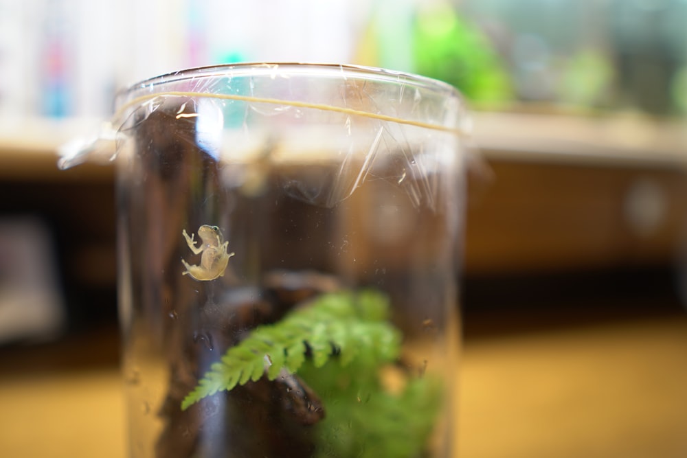 a bee in a glass