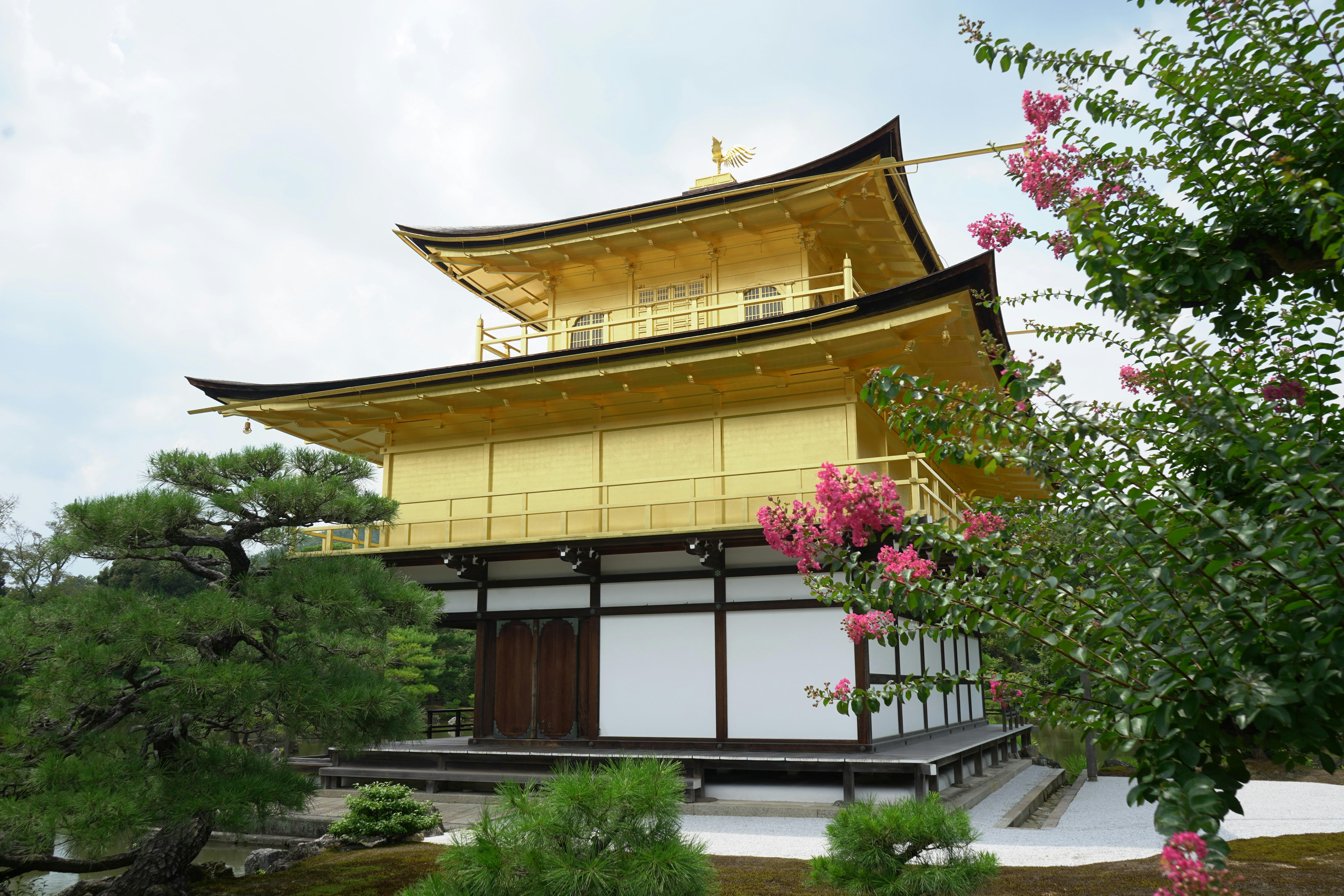Kinkaku-ji with a gold roof, Kinkakuji Temple in Kyoto Japan with flowers