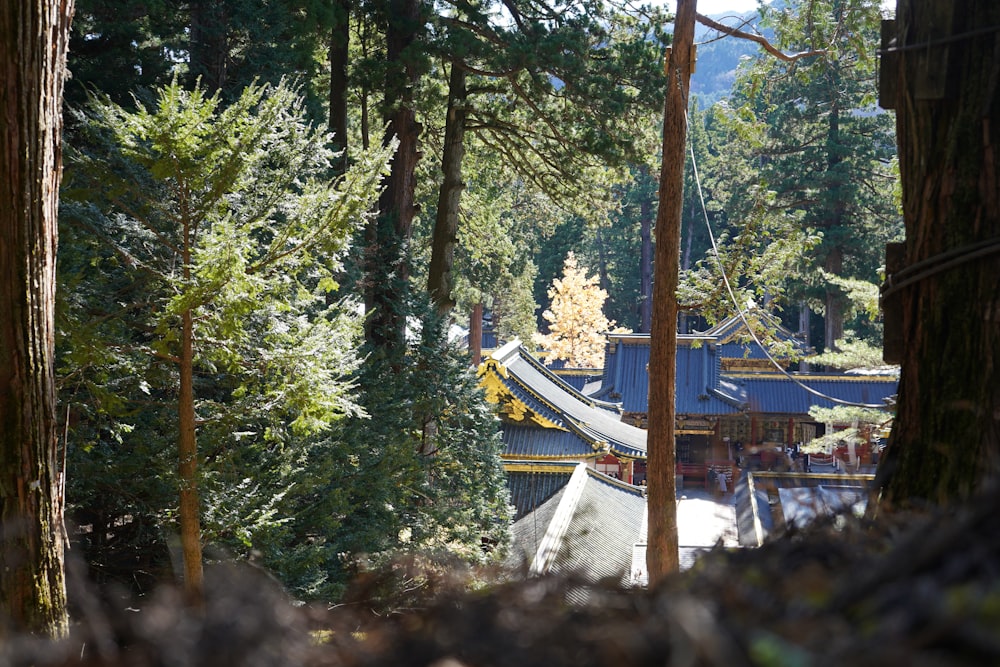 a house surrounded by trees