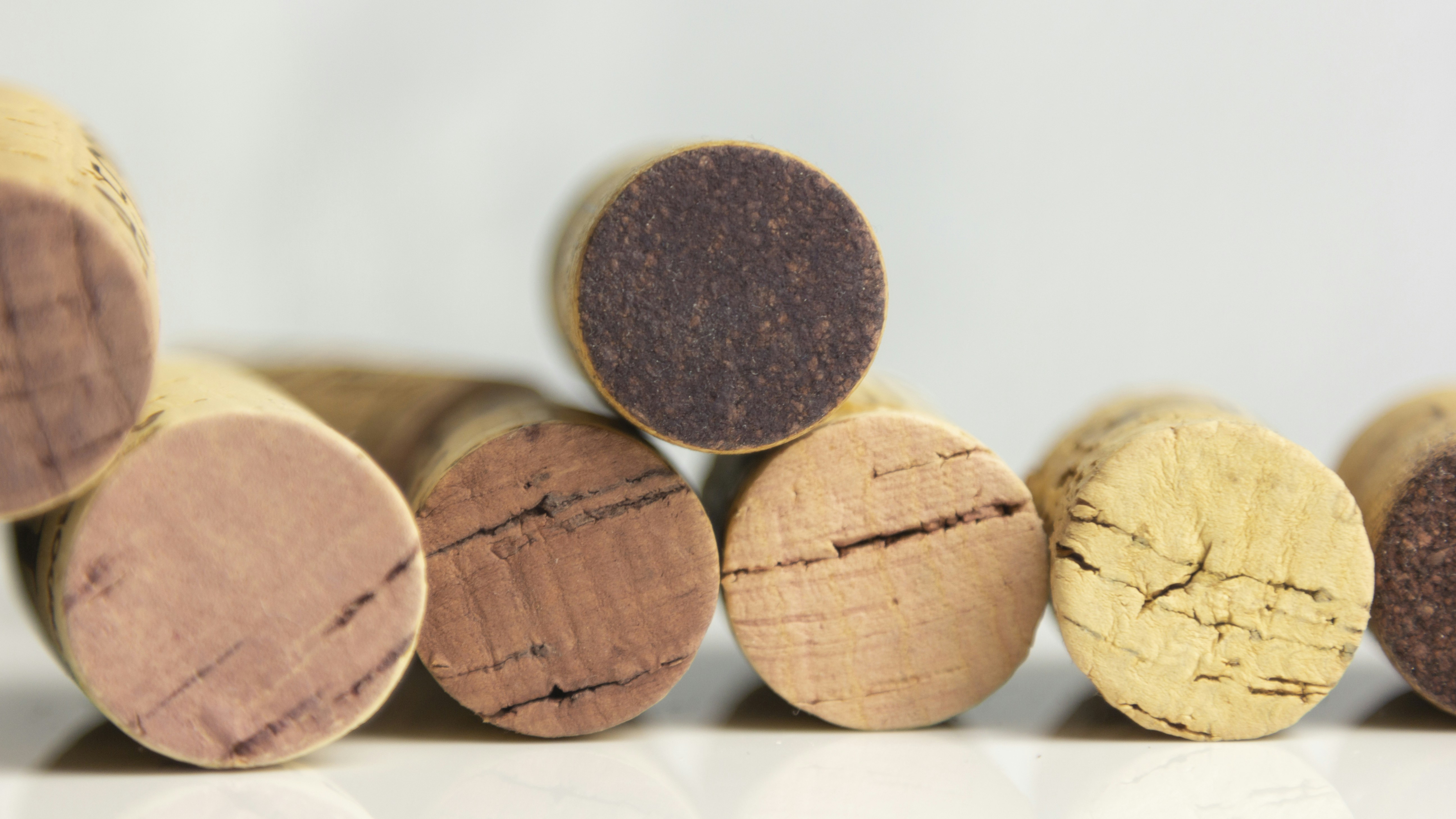 Photo by shutter_speed_