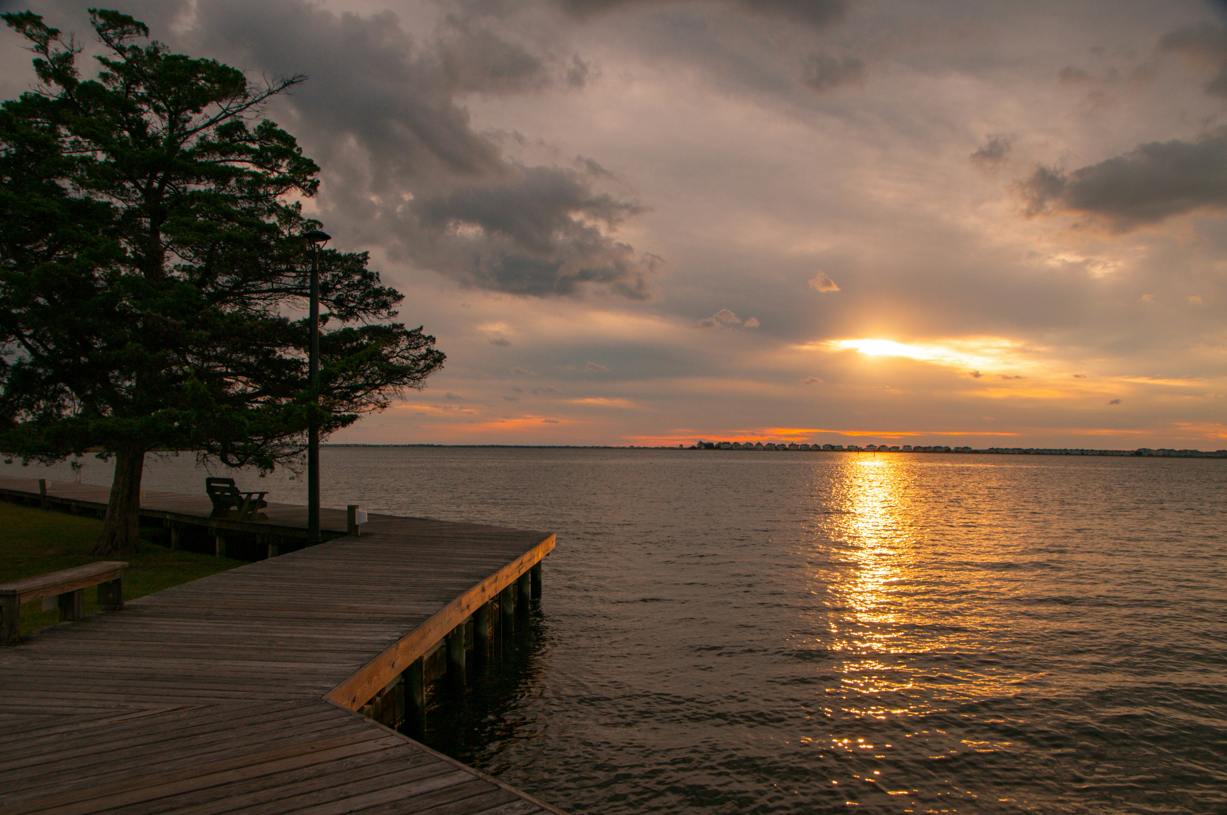 a dock leading out to a body of water with a tree and a sunset