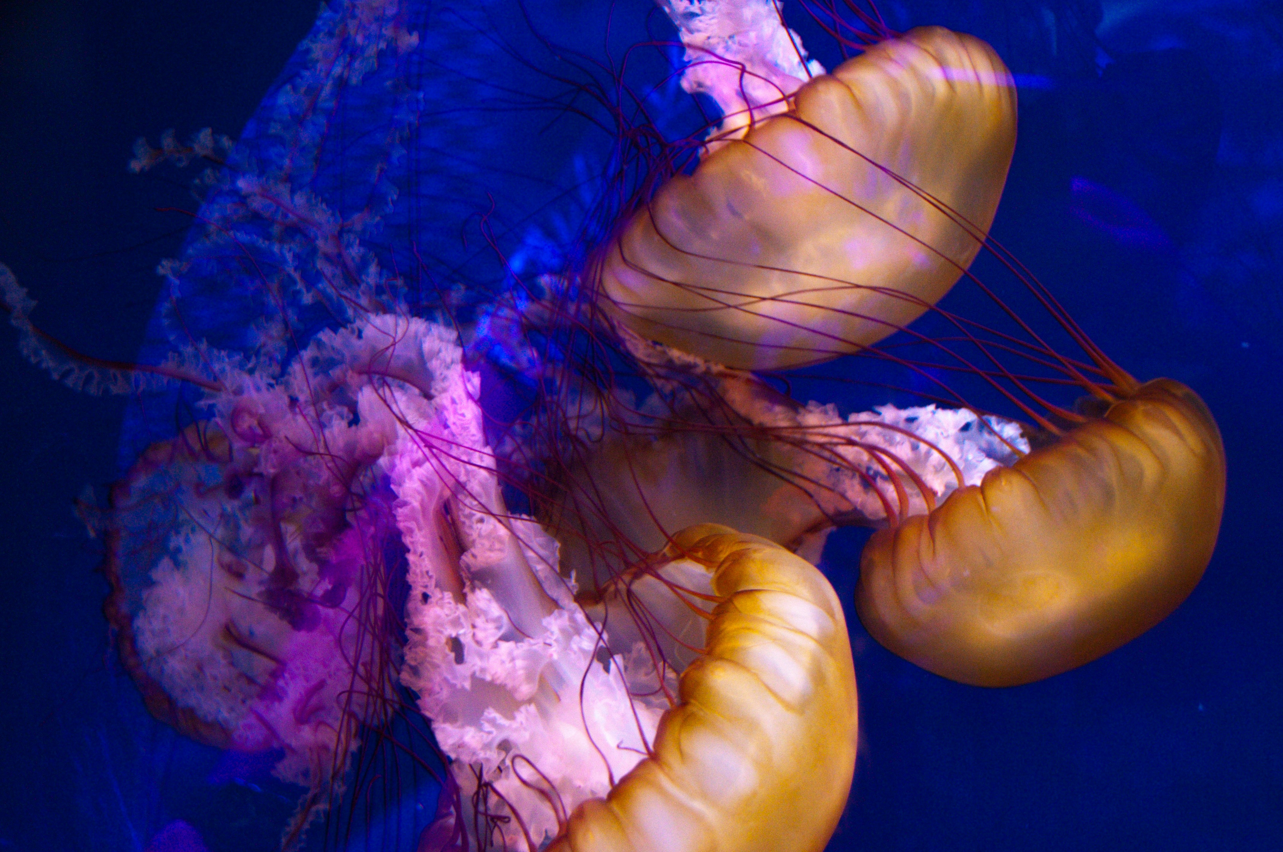 Photo by efrainvargas