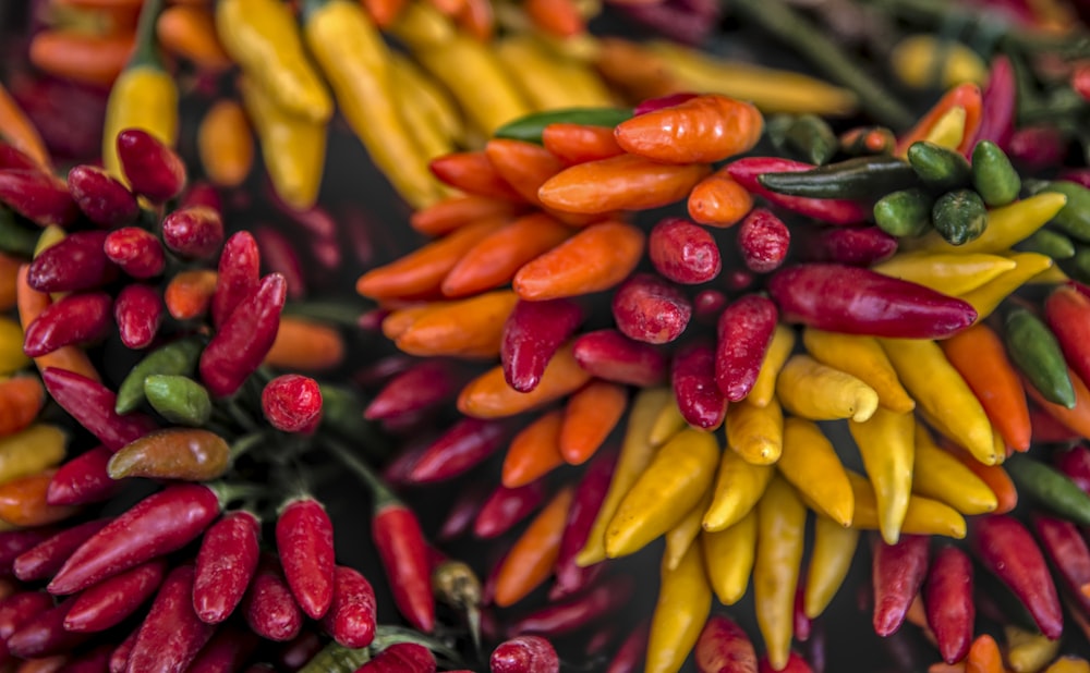 a bunch of colorful peppers