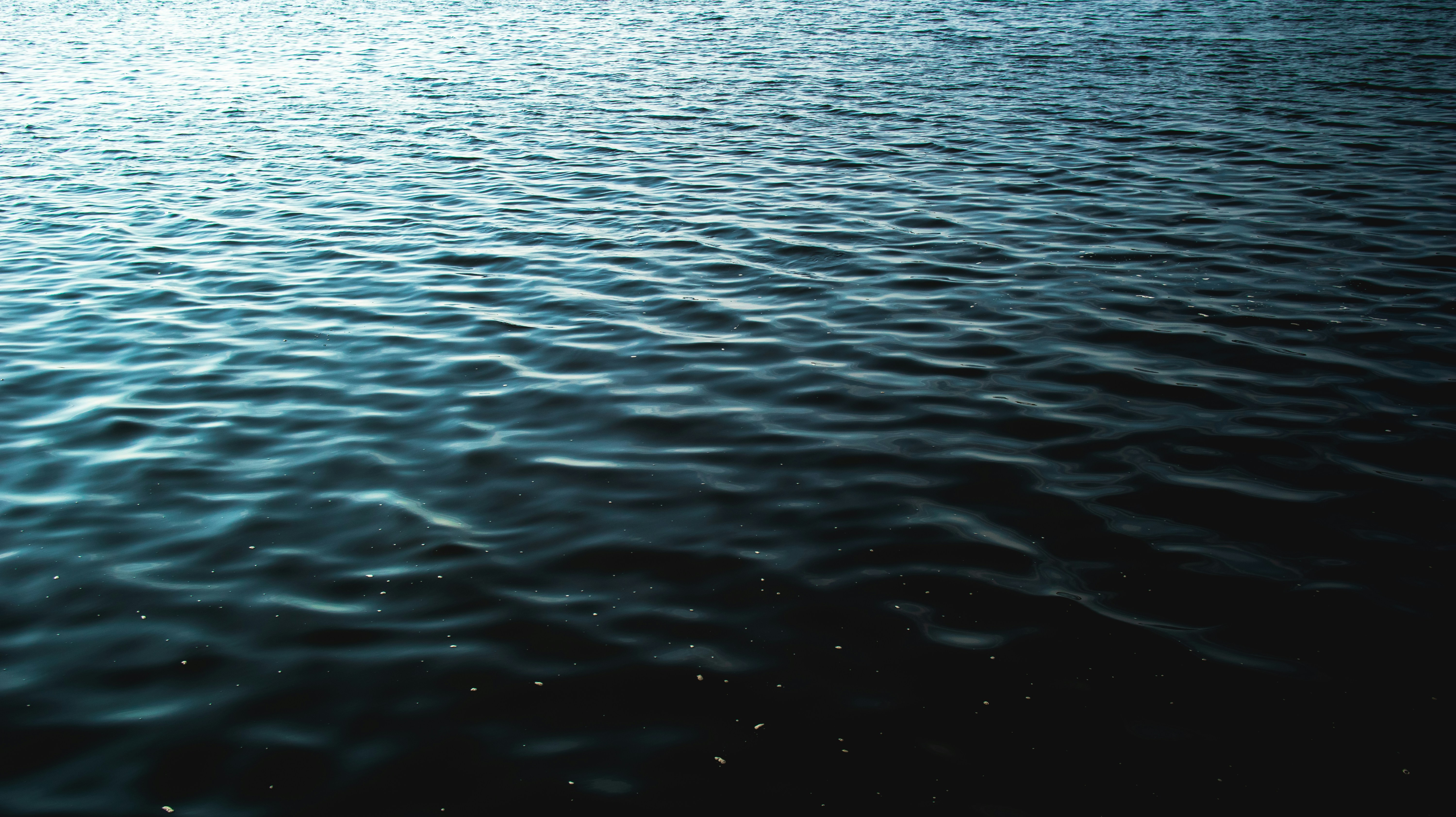 Photo by abdullohfauzan