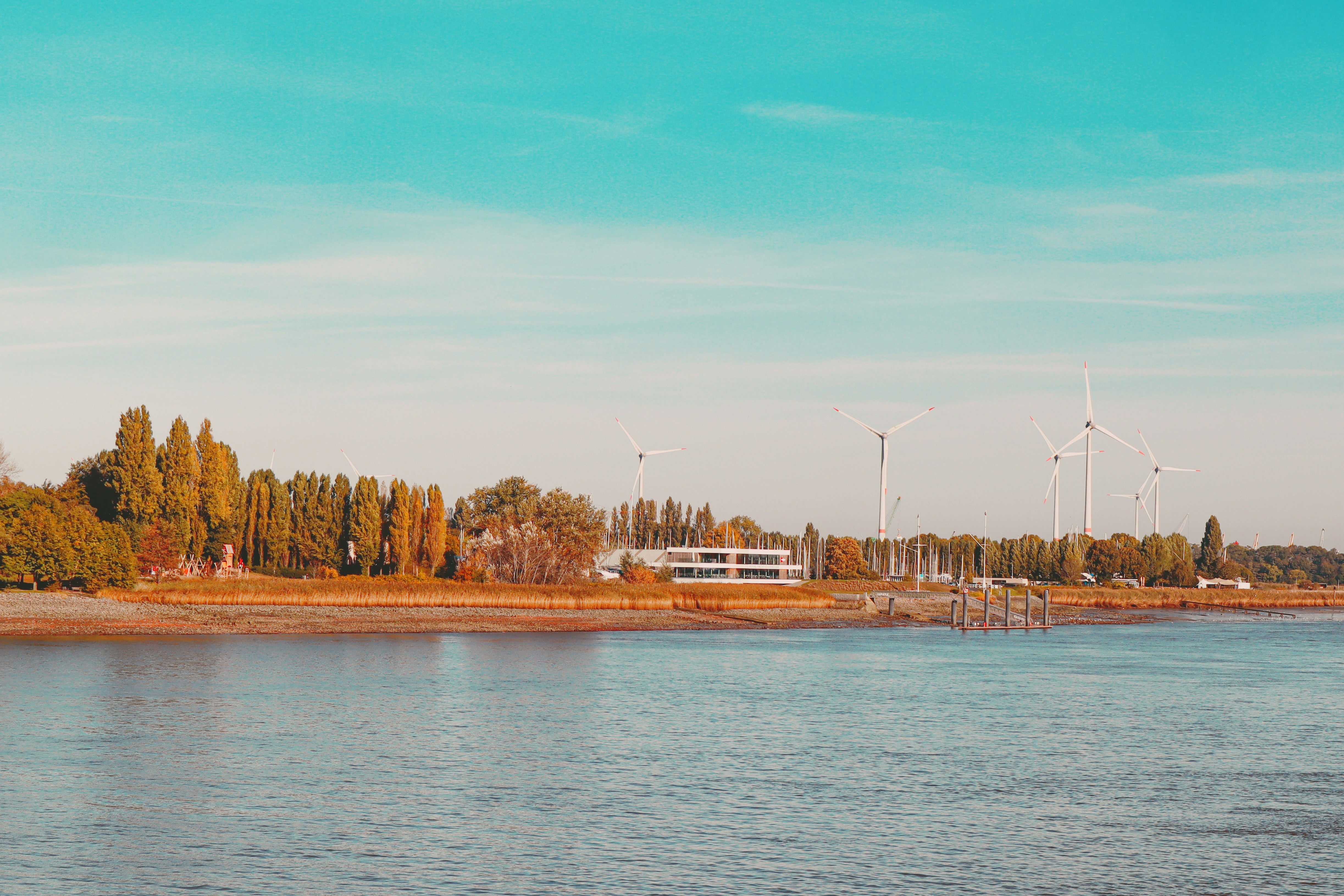 Clean air environment with trees and water