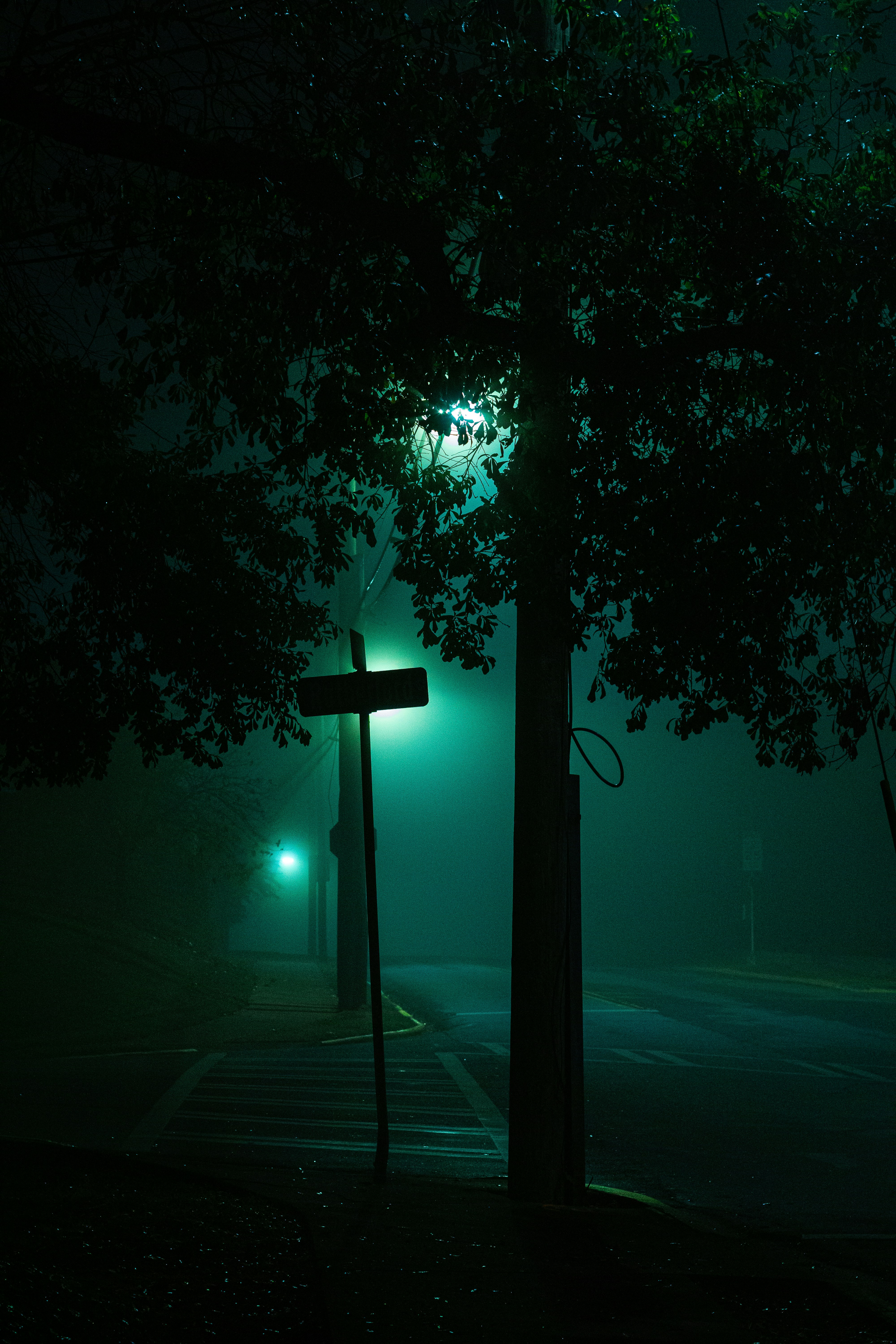 Photo by prodbyjaded