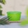 A bright green plastic container with a lid is placed on a wooden surface, surrounded by green foliage and a blurry background. The setting appears to be outdoors with natural lighting.