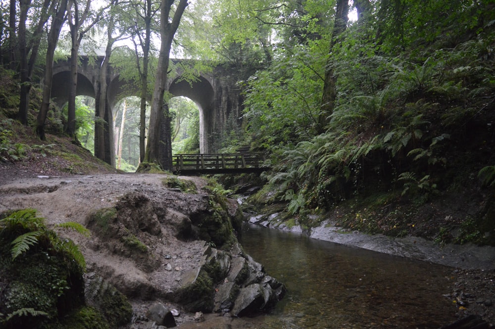 a bridge over a river