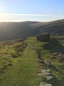 A serene landscape with a winding path through soft hills.