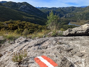 A scenic view of a lush, green mountainous landscape with a winding river visible in the distance. The foreground features rocky terrain with patches of grass and a red and white trail marker painted on a rock. Dense forests cover the hills under a clear blue sky.
