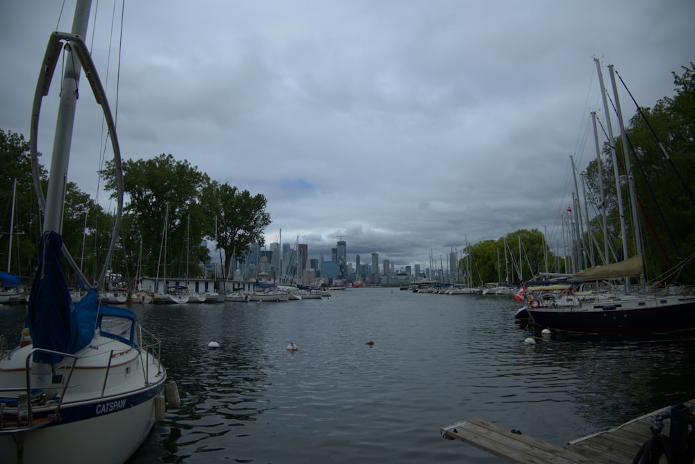 bateaux dans un port