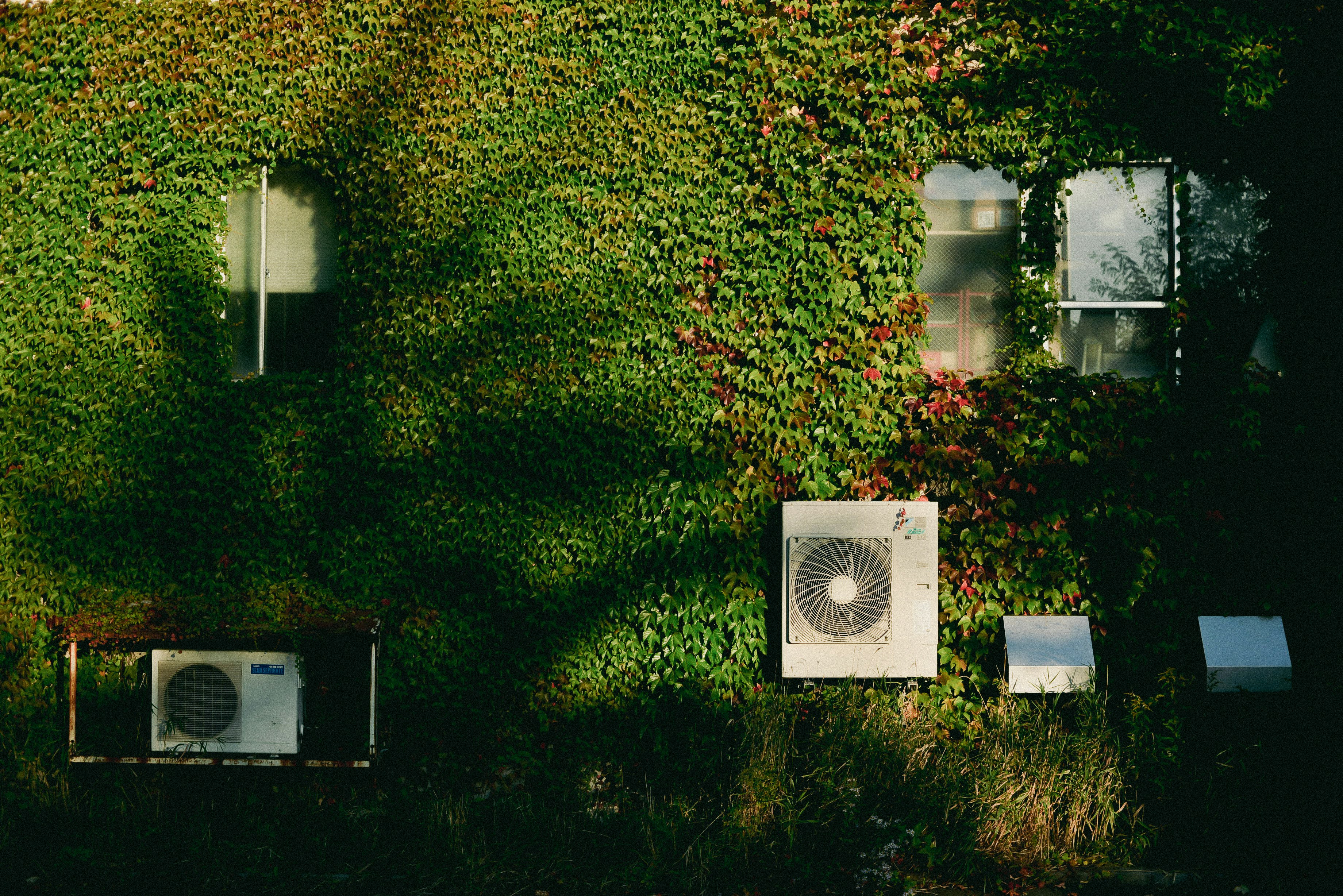A clean outdoor condenser unit surrounded by well-maintained landscaping - how often should you service your hvac