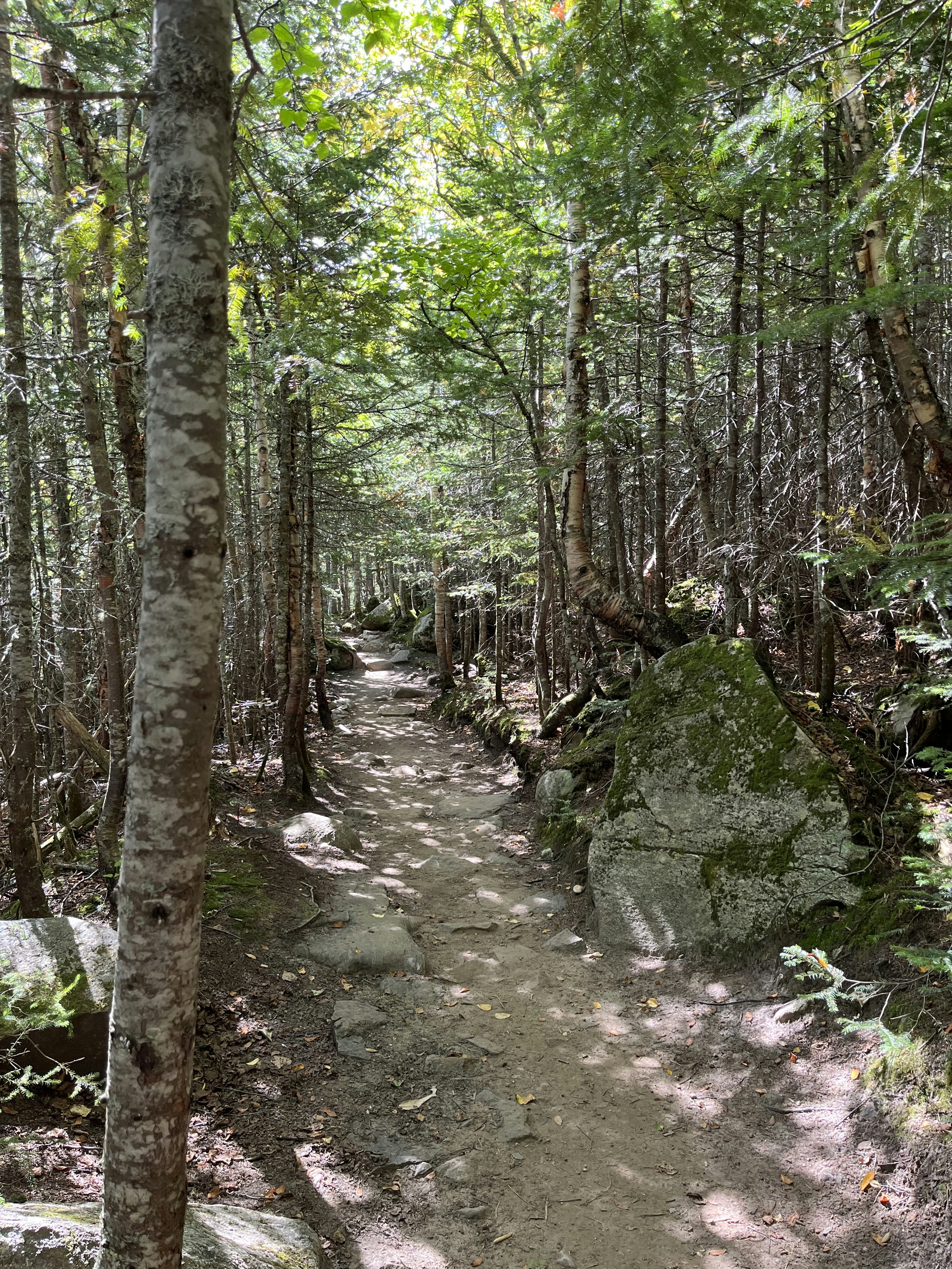 Réservez votre séance