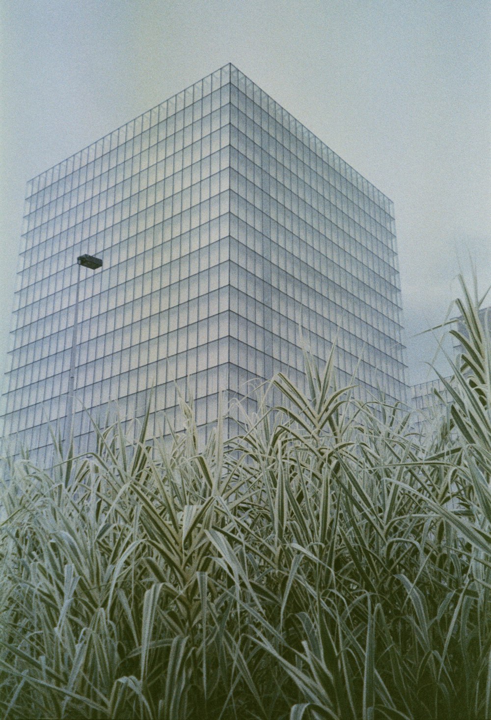 a tall glass building