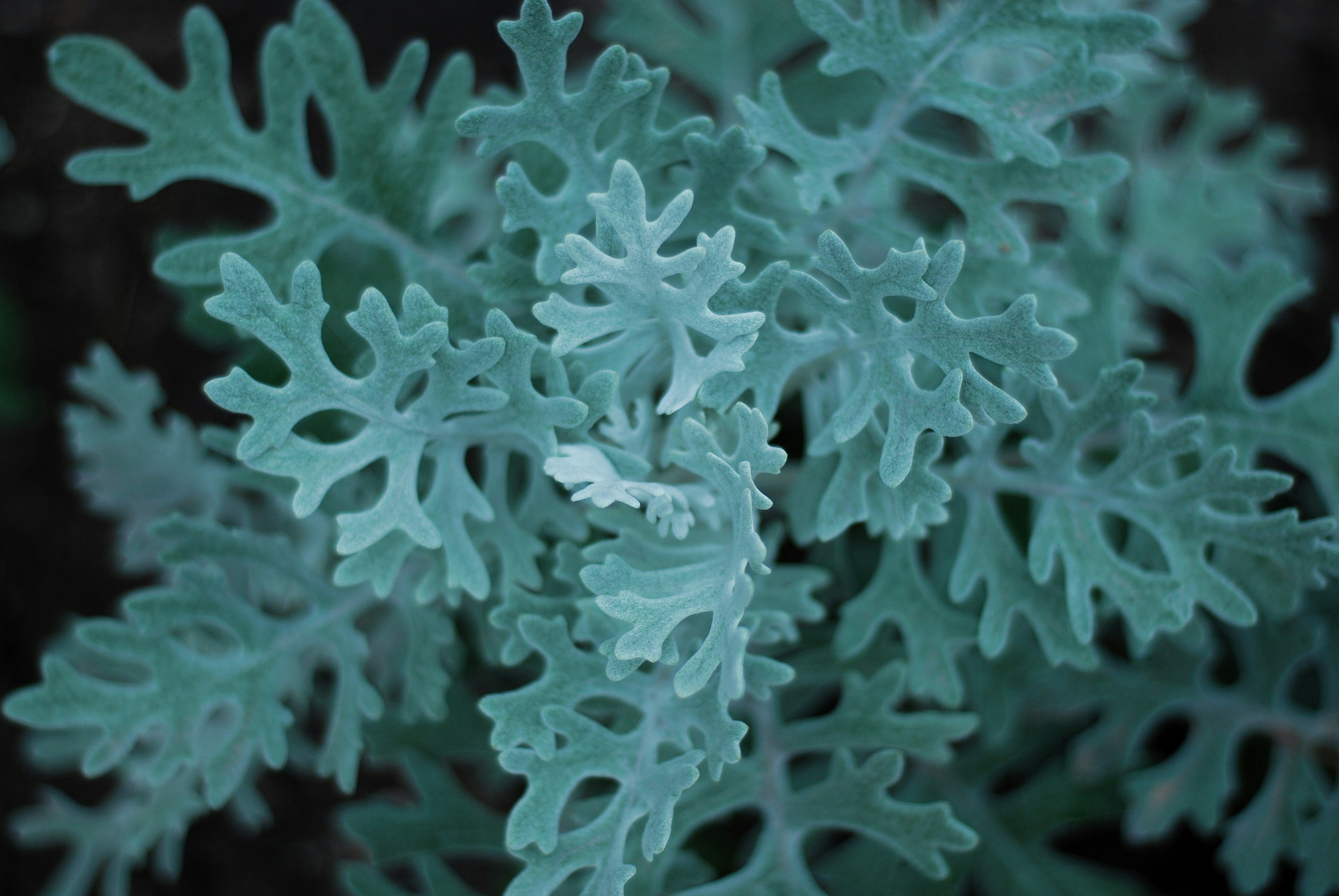 Photo by kovalskihelga