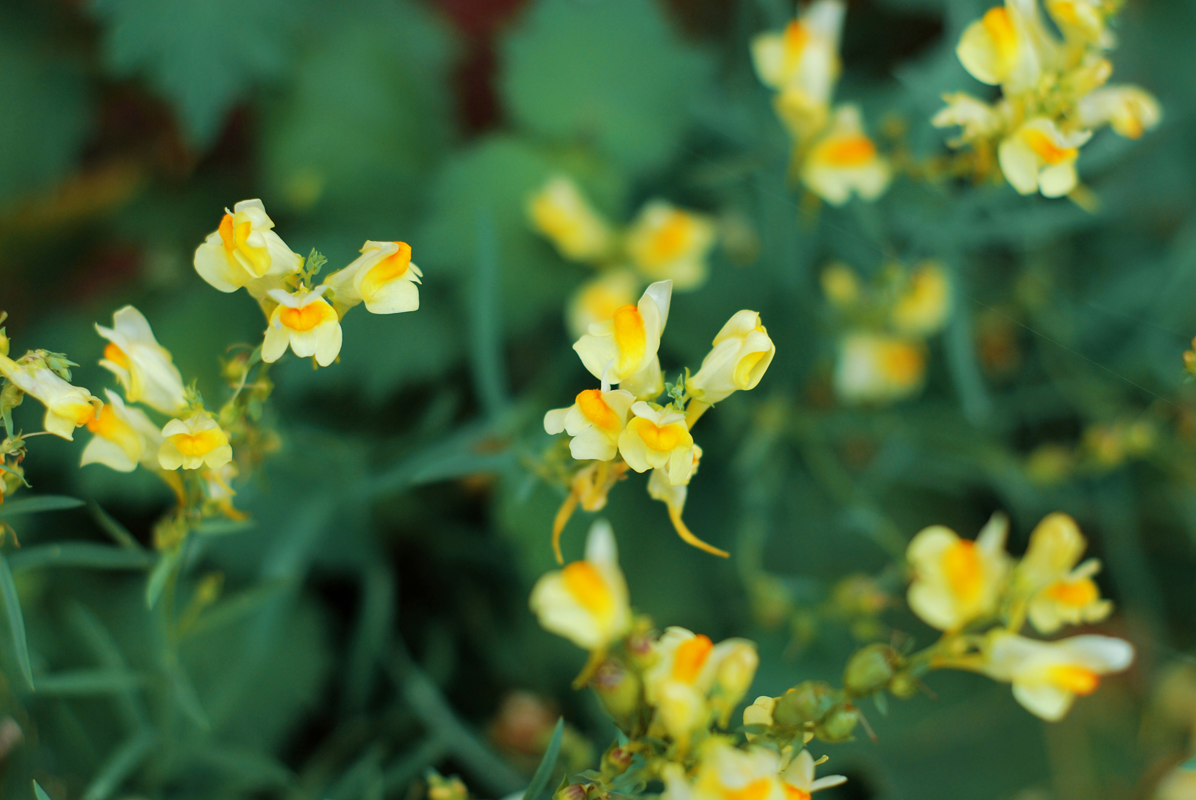 Photo by kovalskihelga