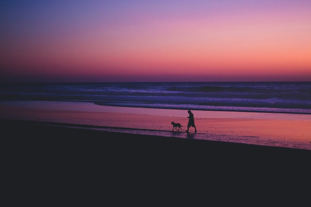 une personne et un chien sur une plage au coucher du soleil