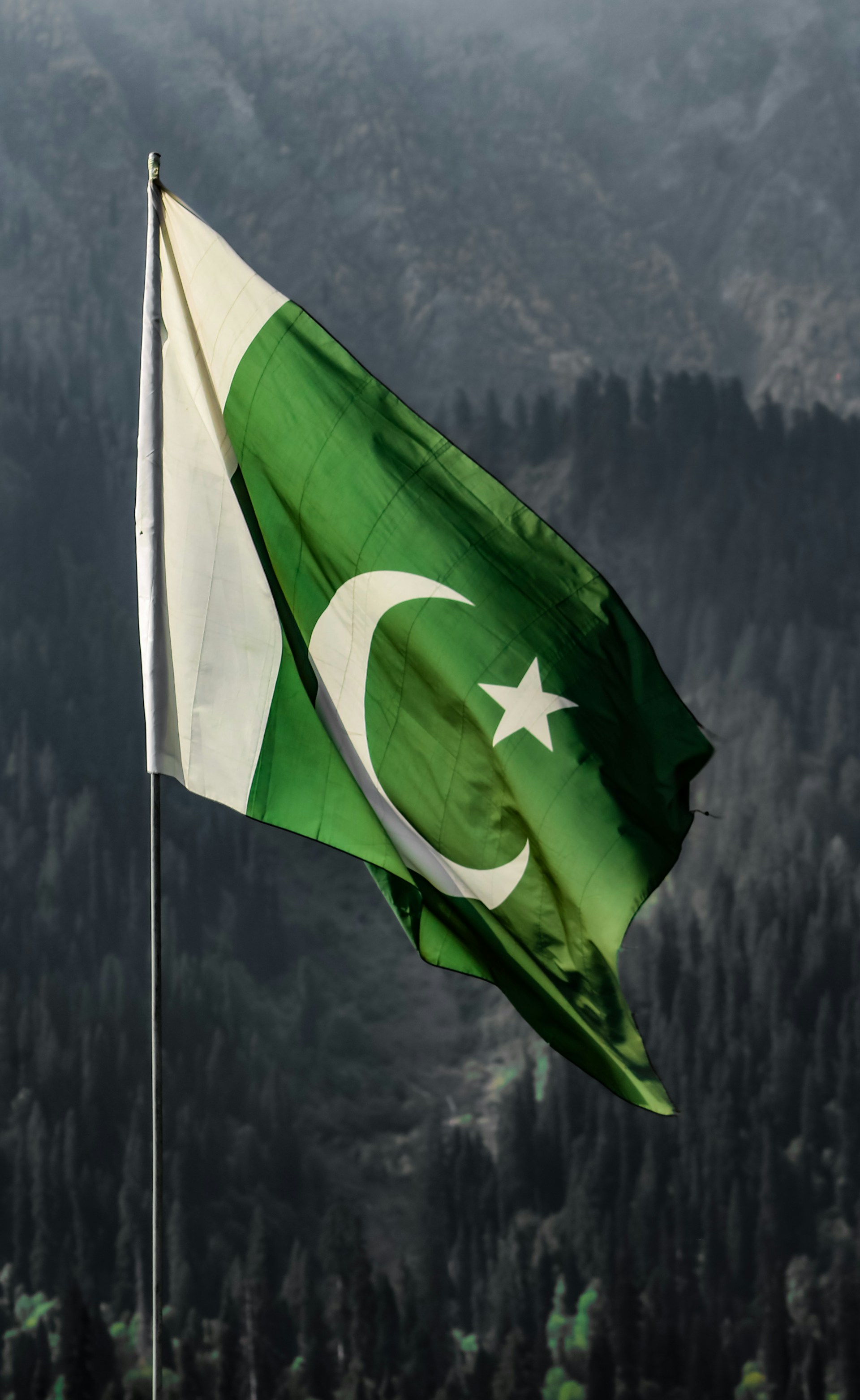 a flag on a pole