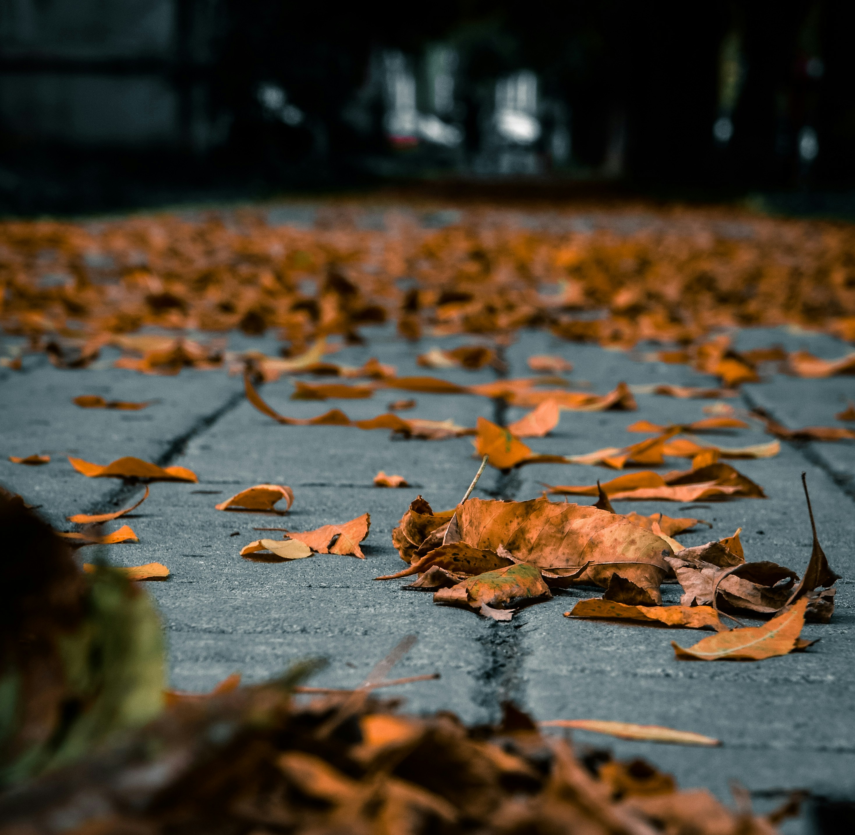 Photo by silverius89