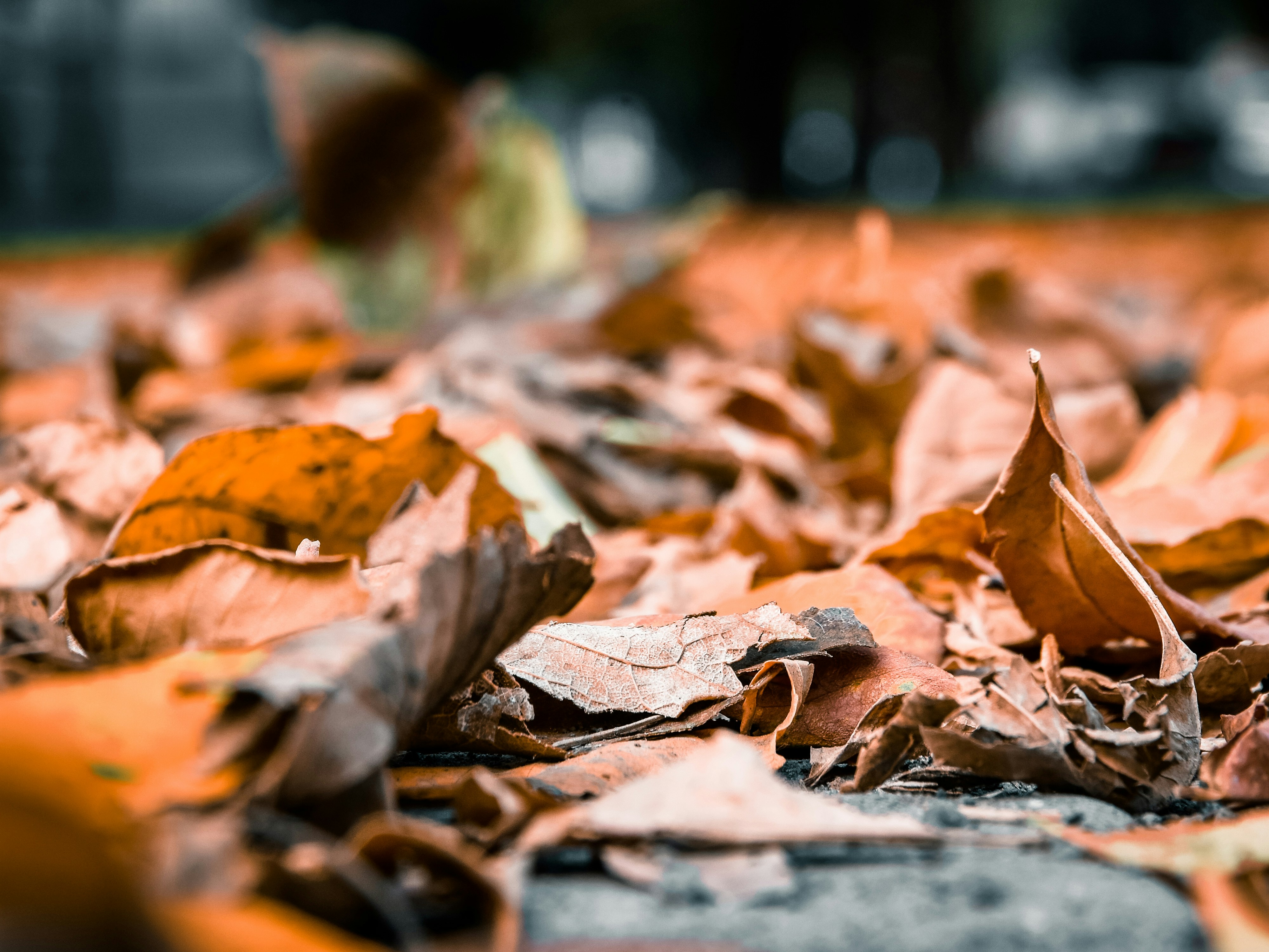 Photo by silverius89