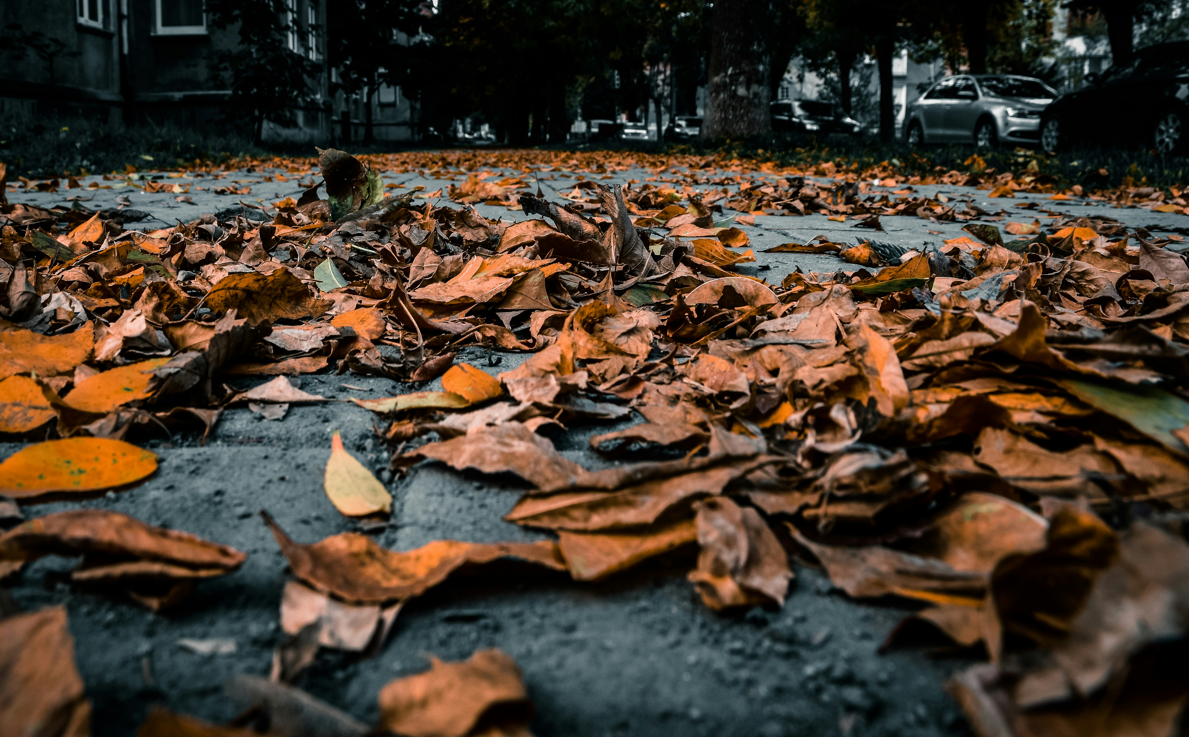 Photo by silverius89