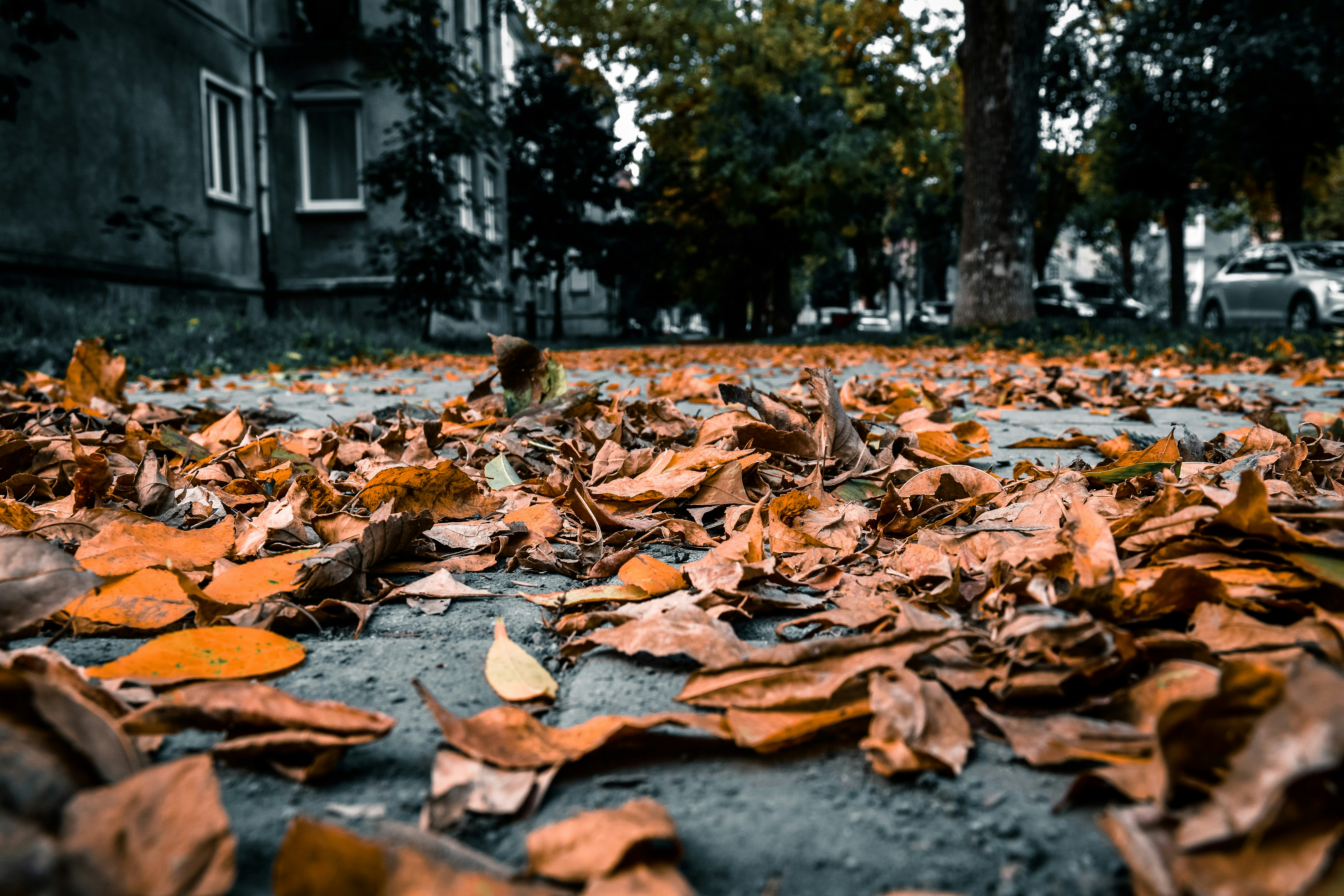 Photo by silverius89