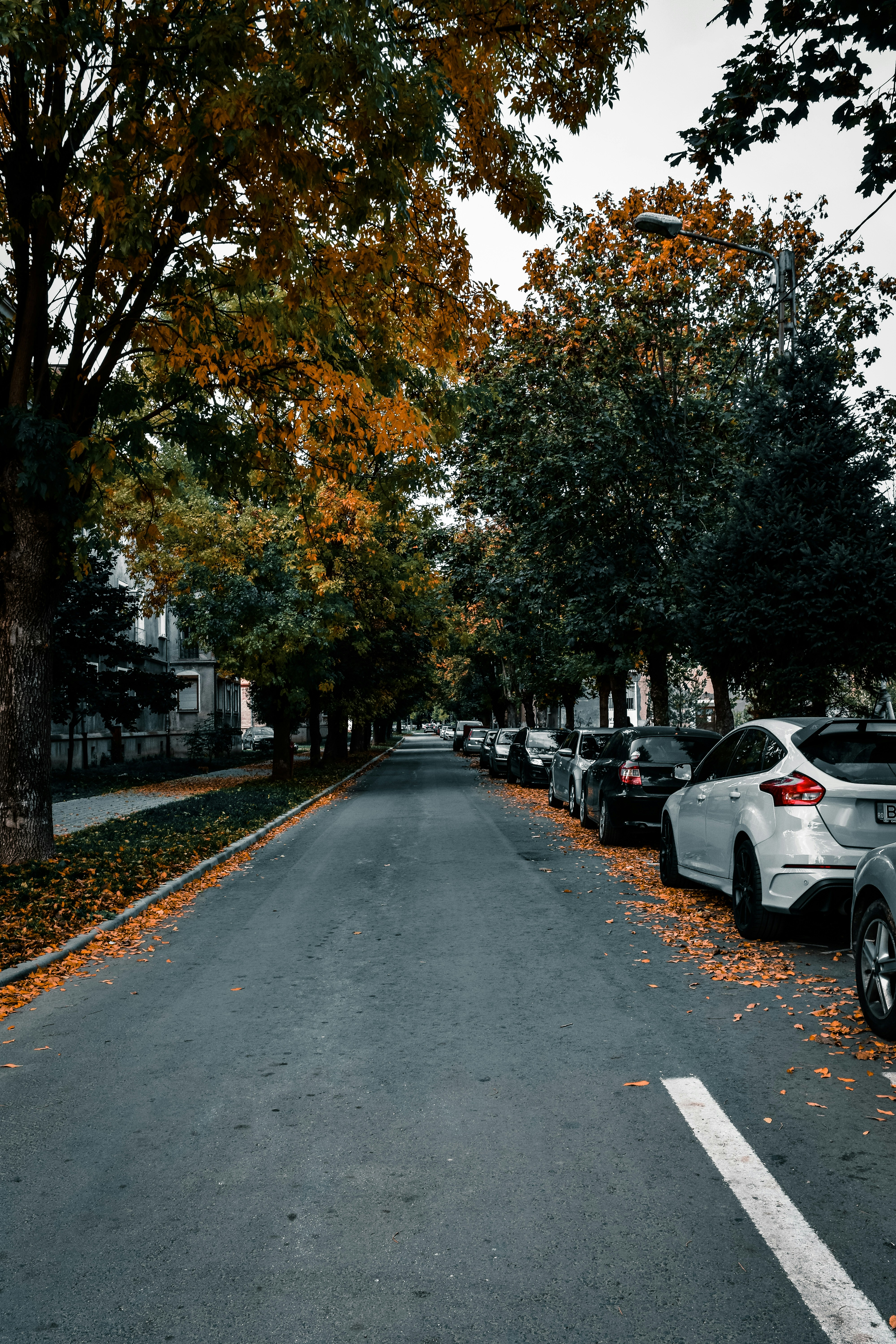 Photo by silverius89