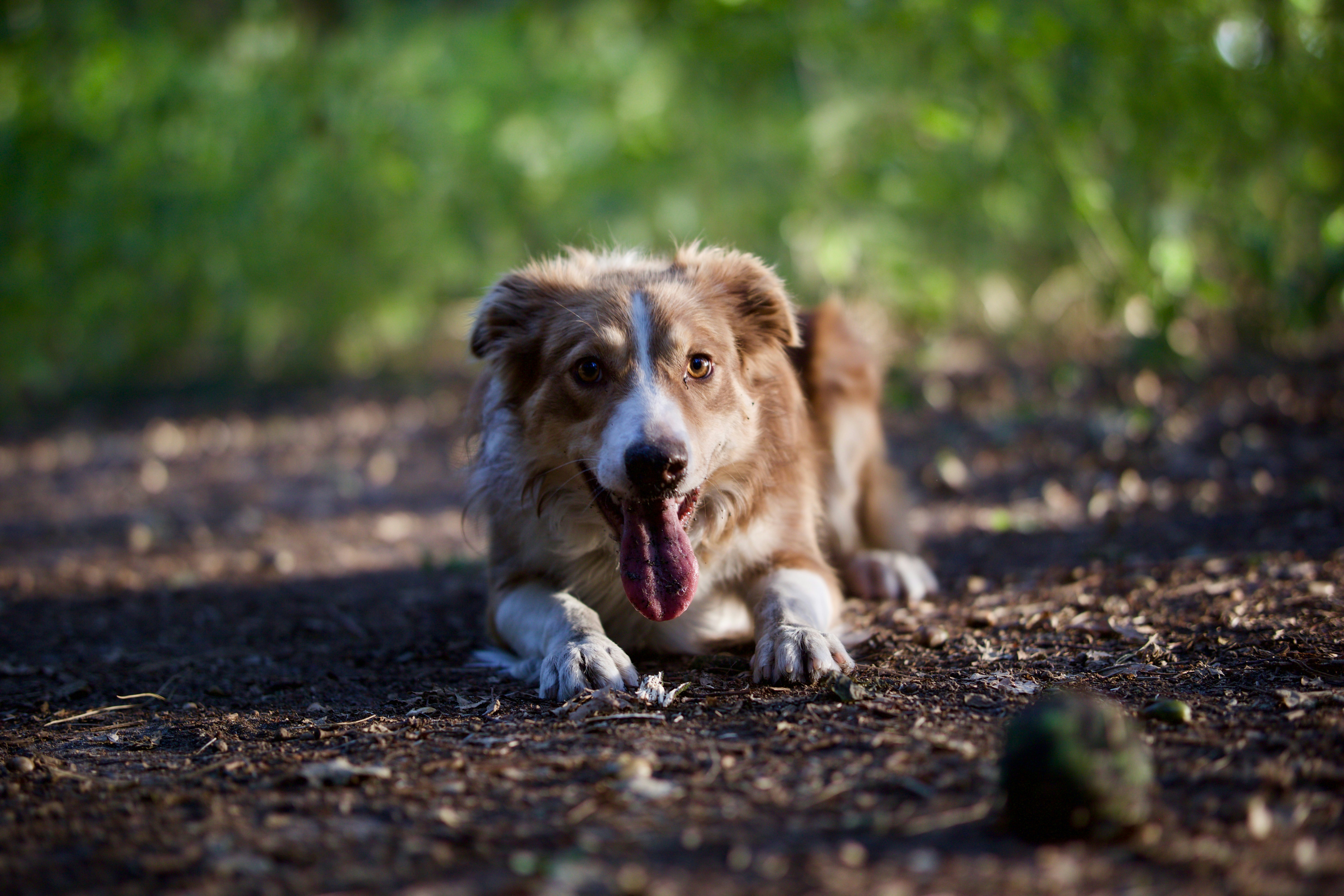 Photo by sjoerd42471