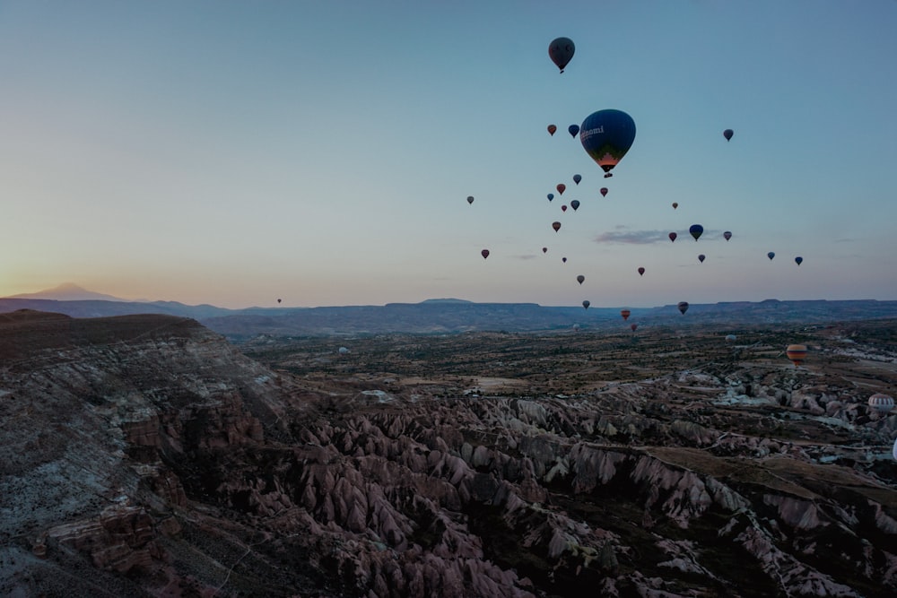 a group of hot air balloons in the sky