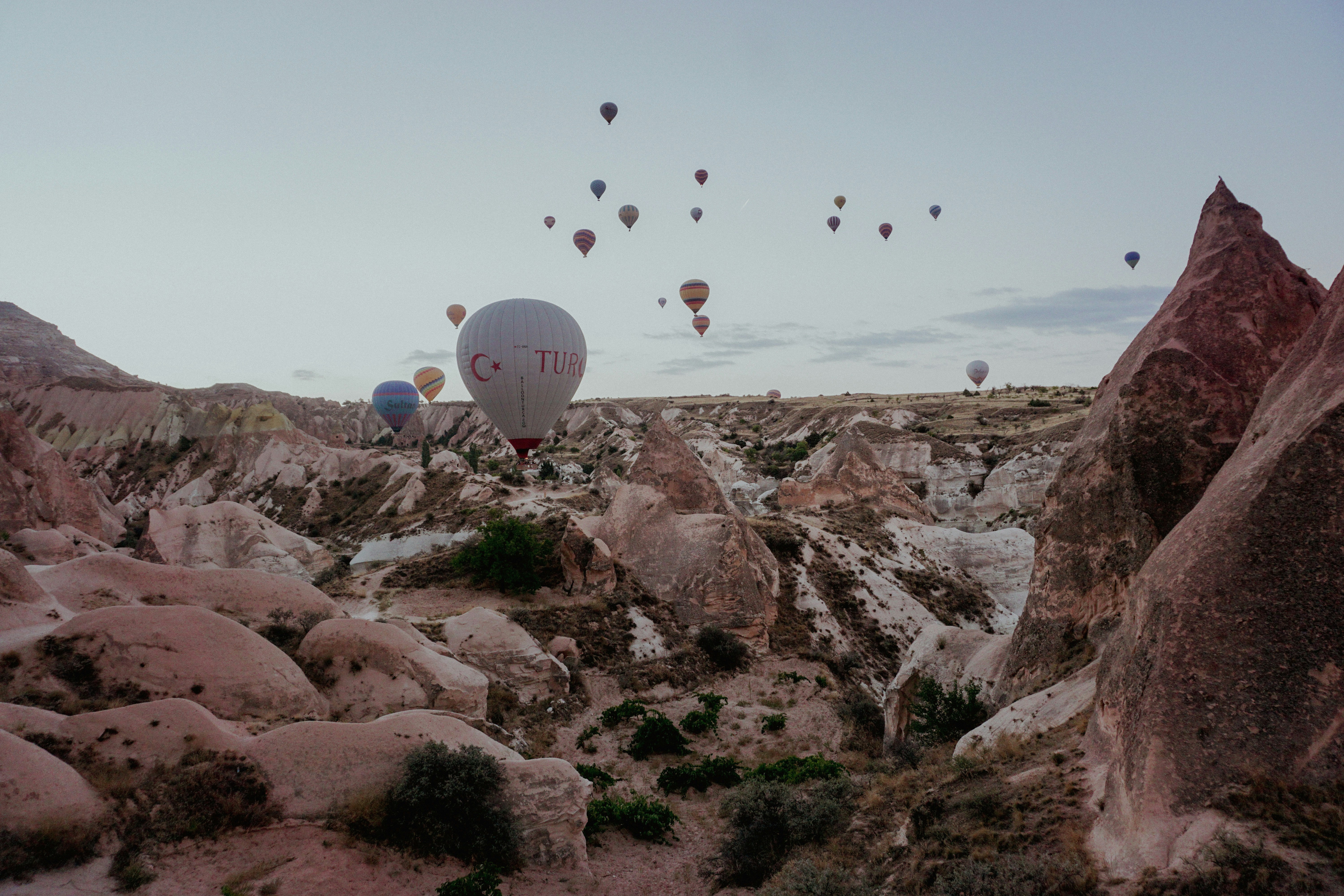 a group of hot air balloons in the sky