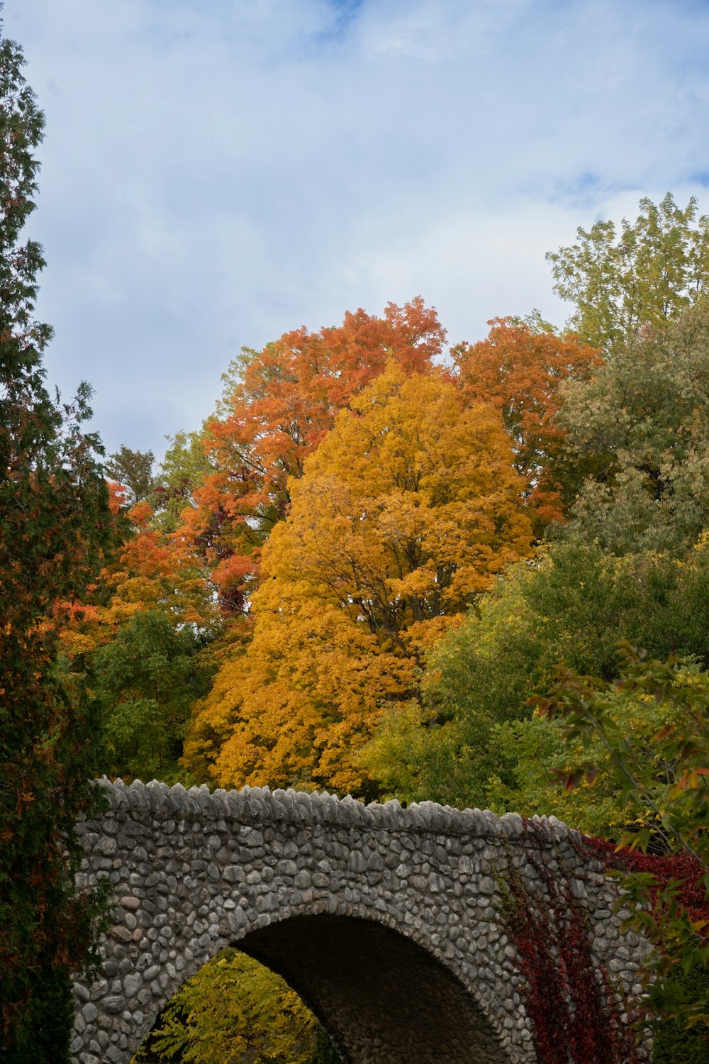 a stone bridge with trees on the side