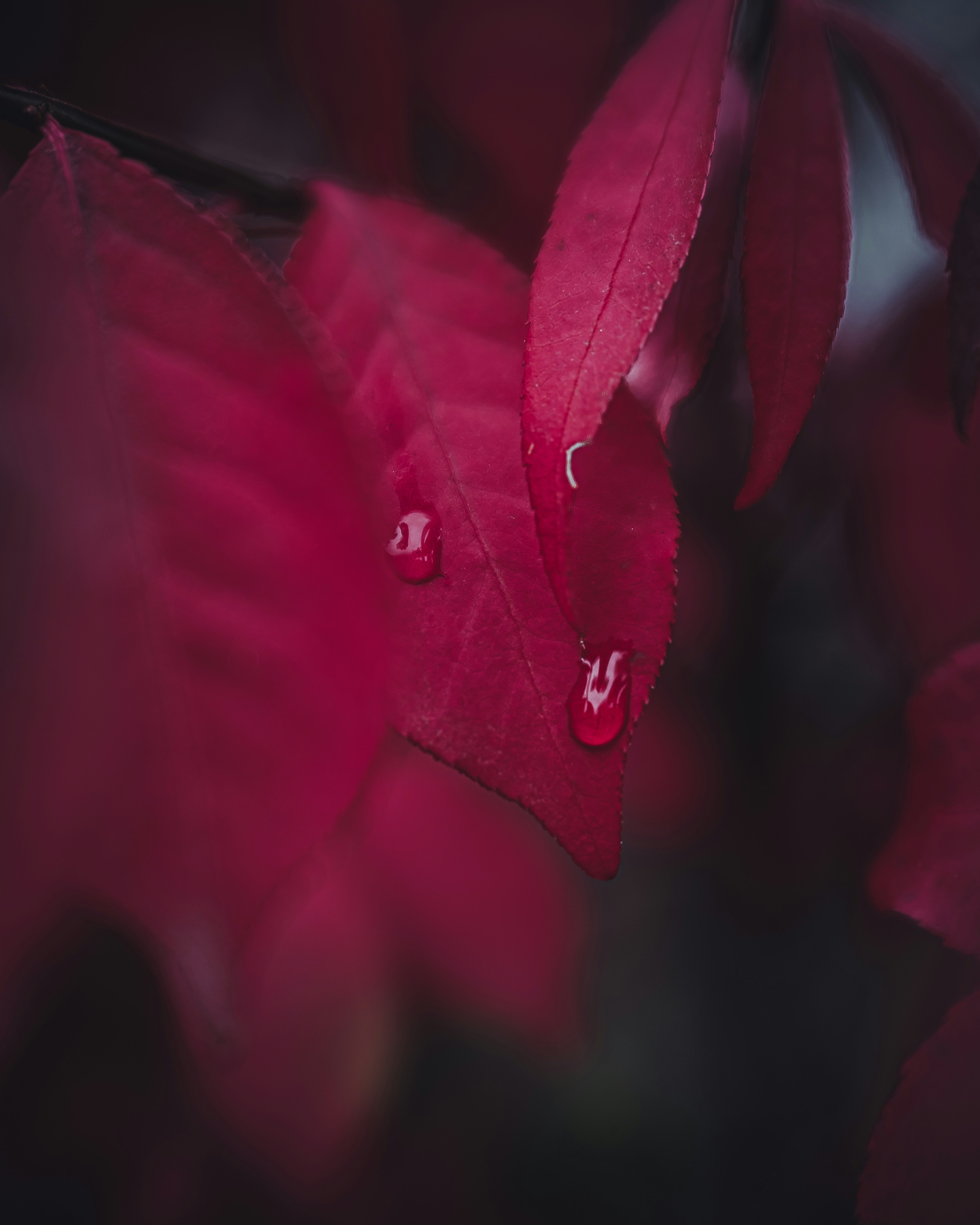 Photo by miles_samuel_photography