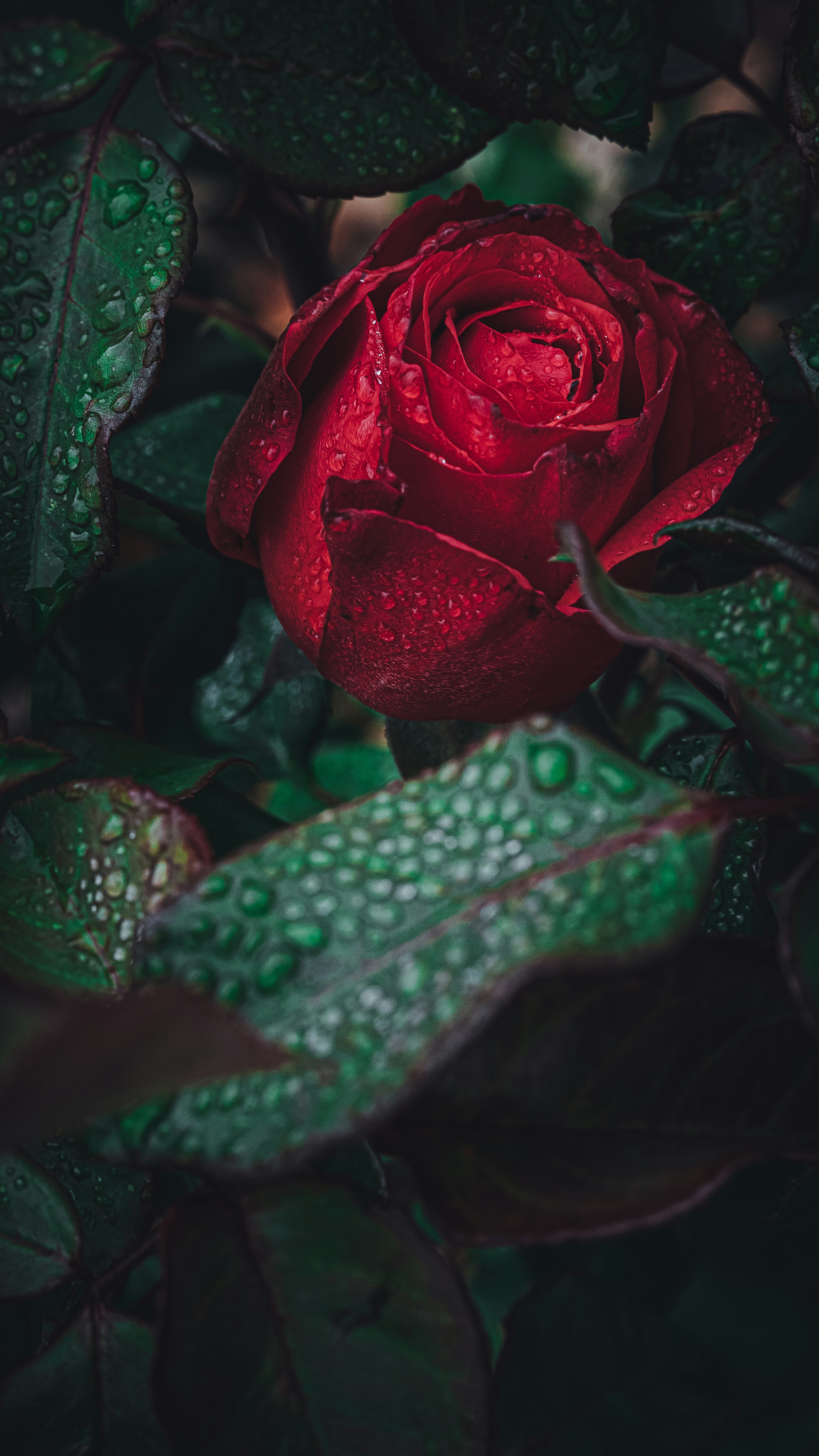 Photo by miles_samuel_photography