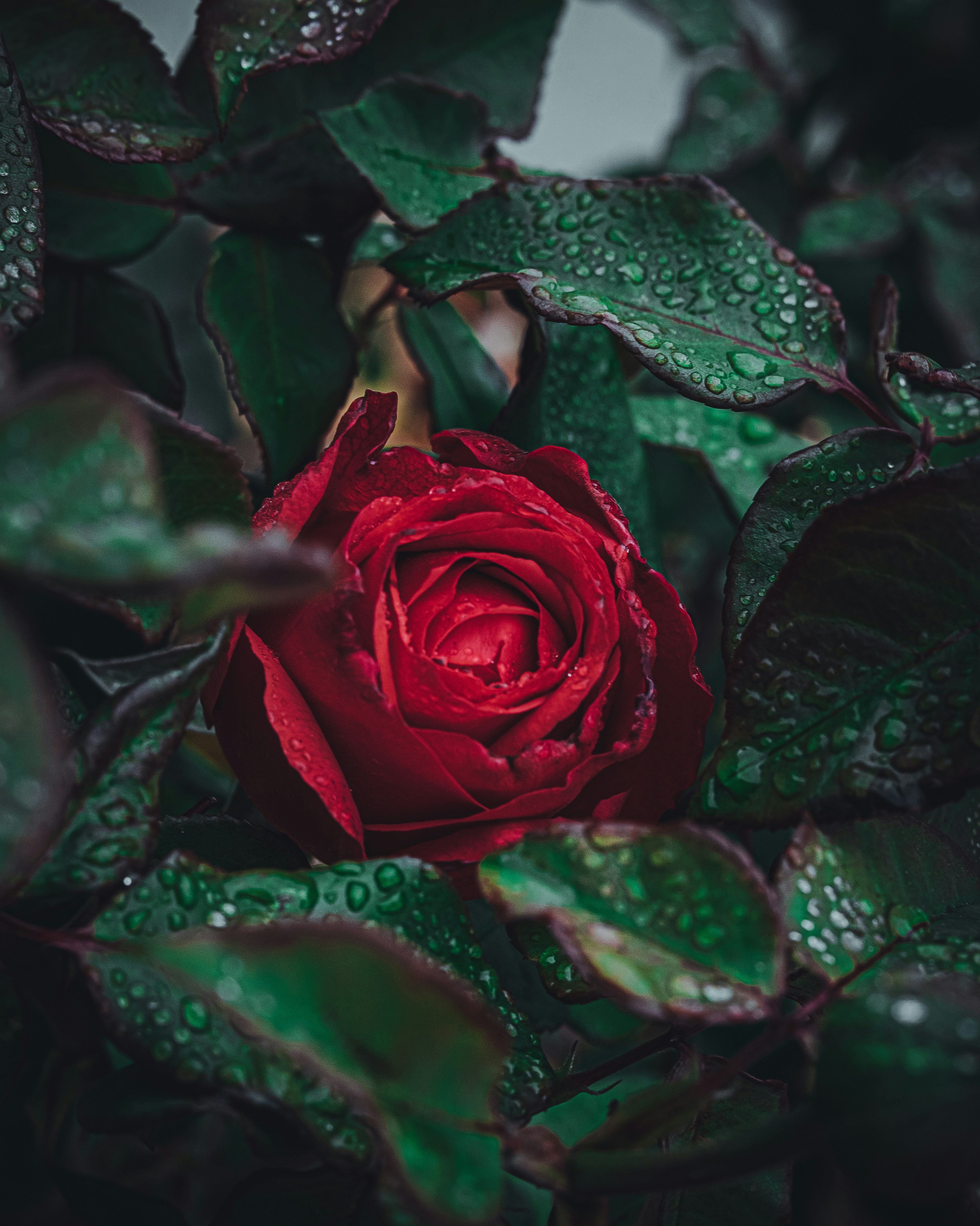 Photo by miles_samuel_photography