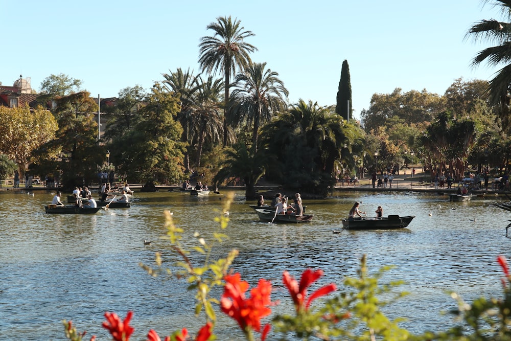 a group of boats on a body of water with trees and buildings in the background