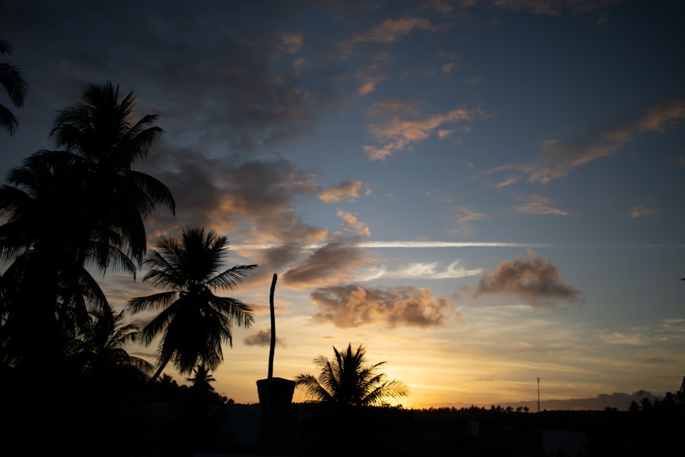 a sunset with palm trees