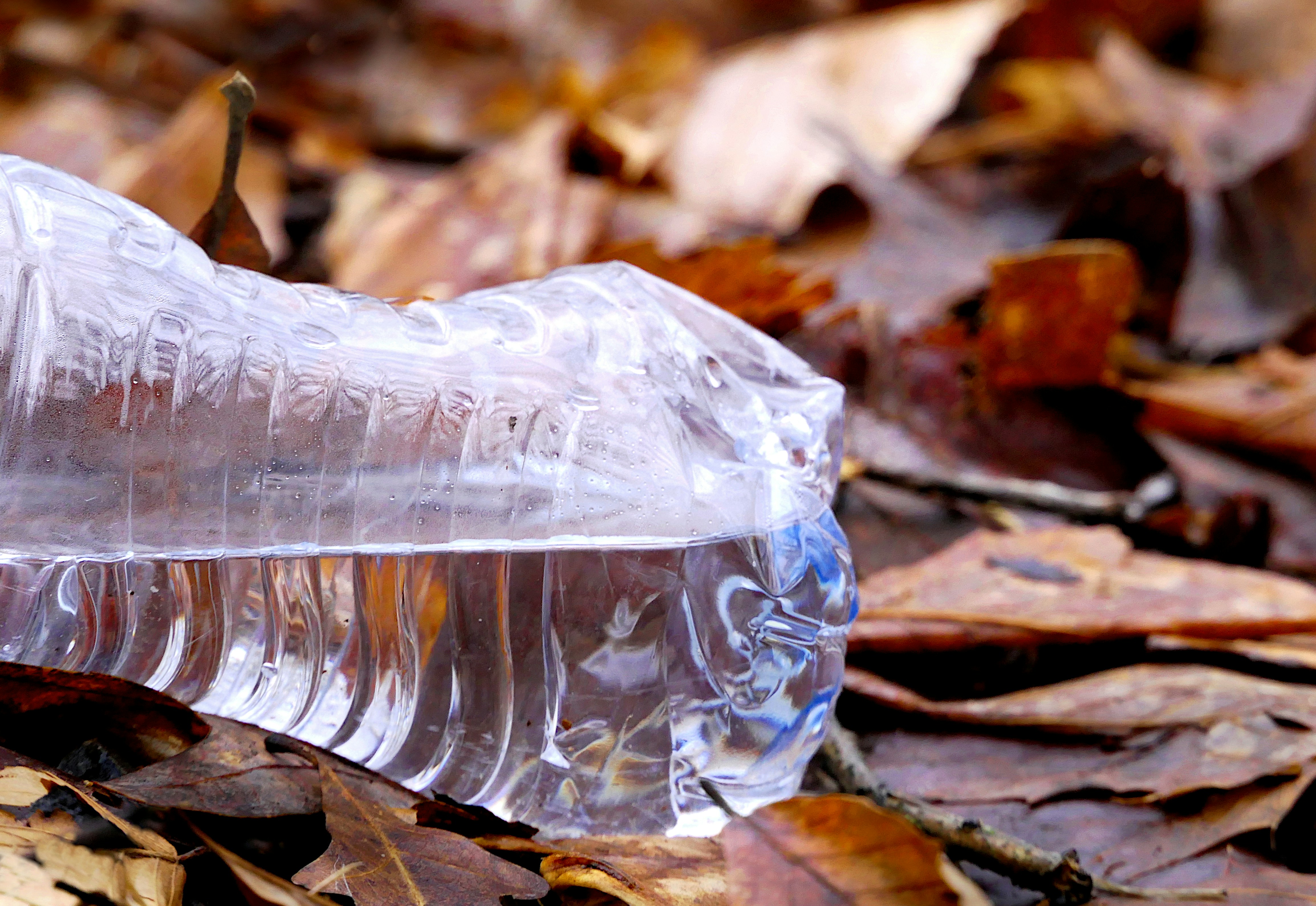a glass bottle on the ground