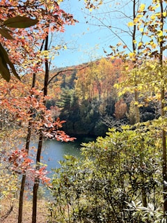 A vibrant autumn landscape in Quebec with colorful maple trees and a serene lake reflecting the sky.