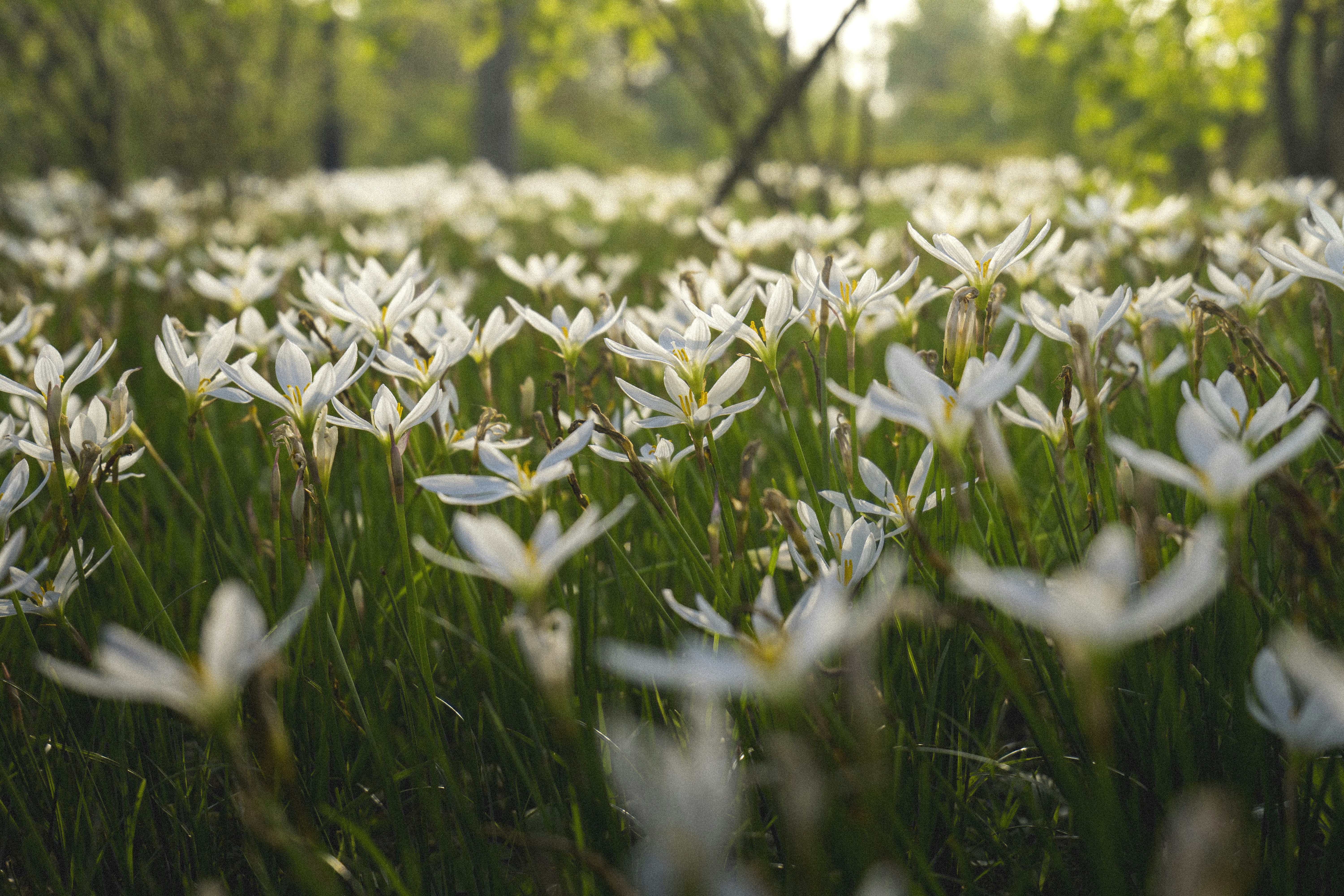 Photo by minecraftinventor