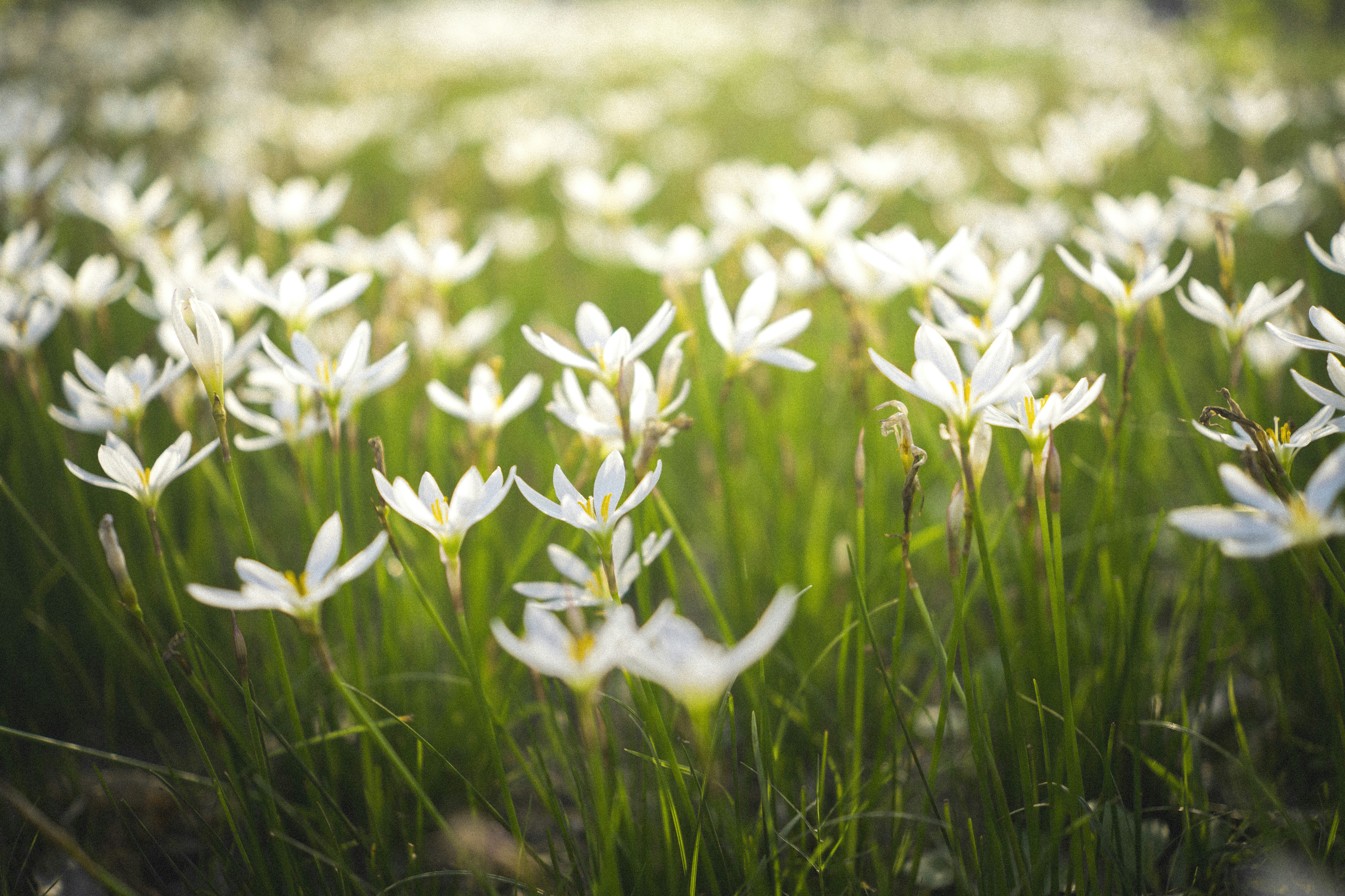 Photo by minecraftinventor