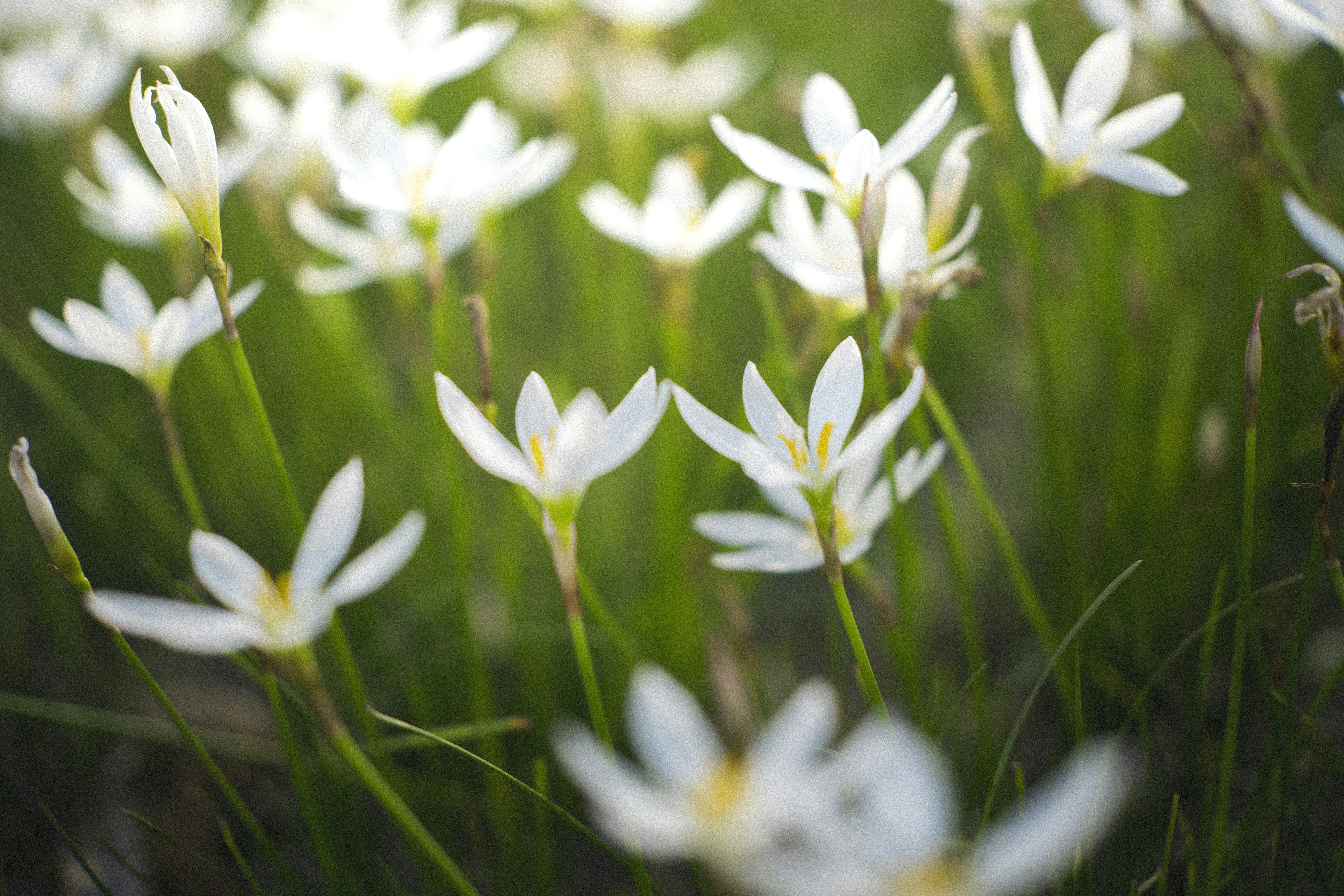 Photo by minecraftinventor