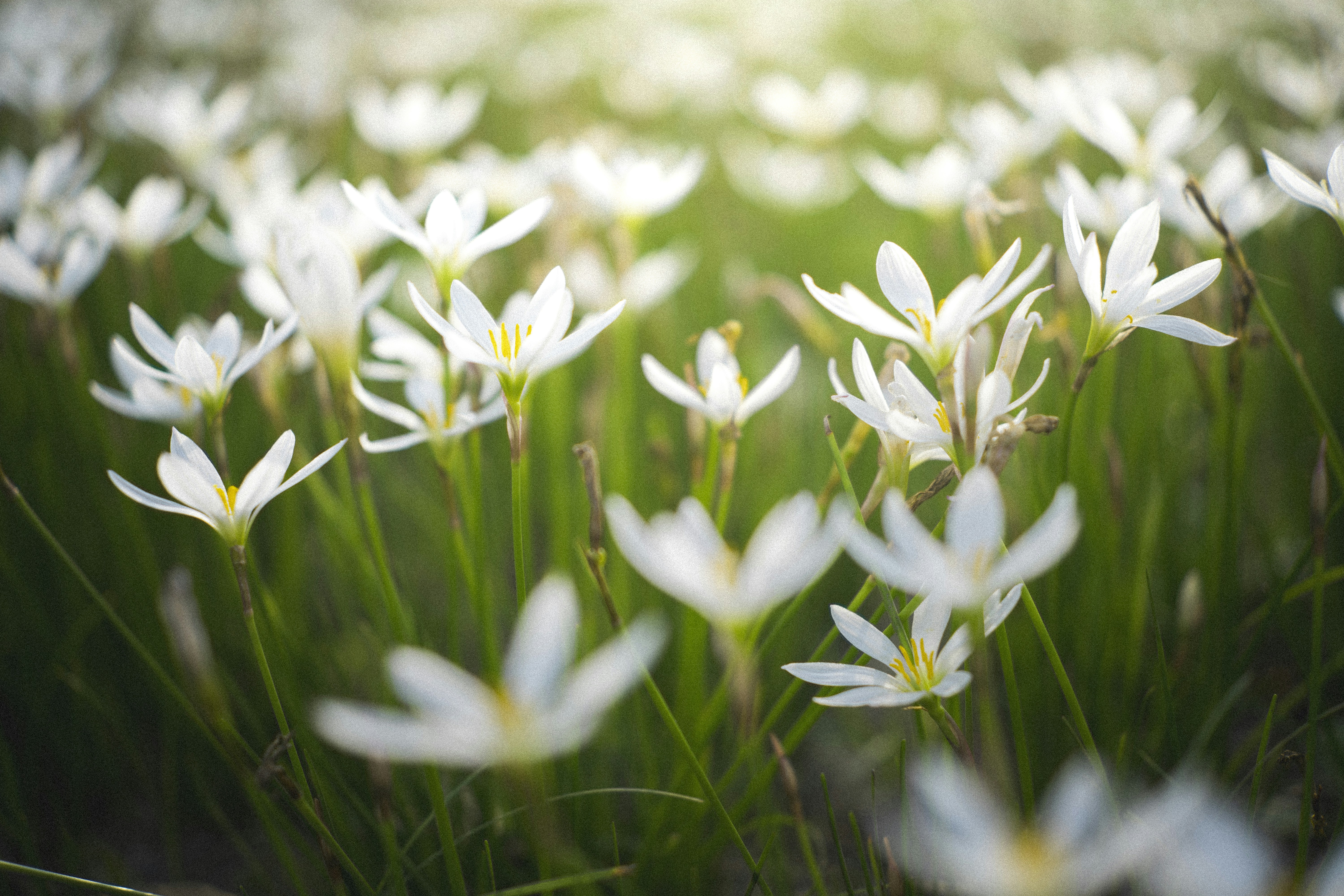 Photo by minecraftinventor