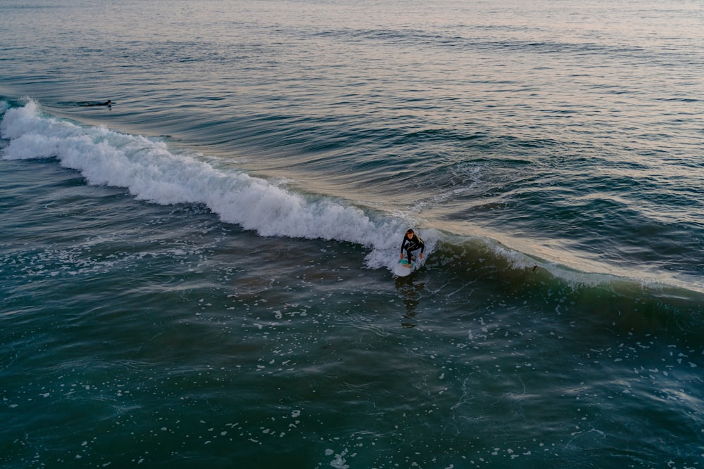 a surfer riding a wave