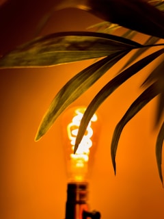 An LED bulb lamp in a cozy home setting.