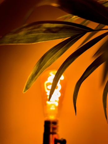 An LED bulb lamp in a cozy home setting.