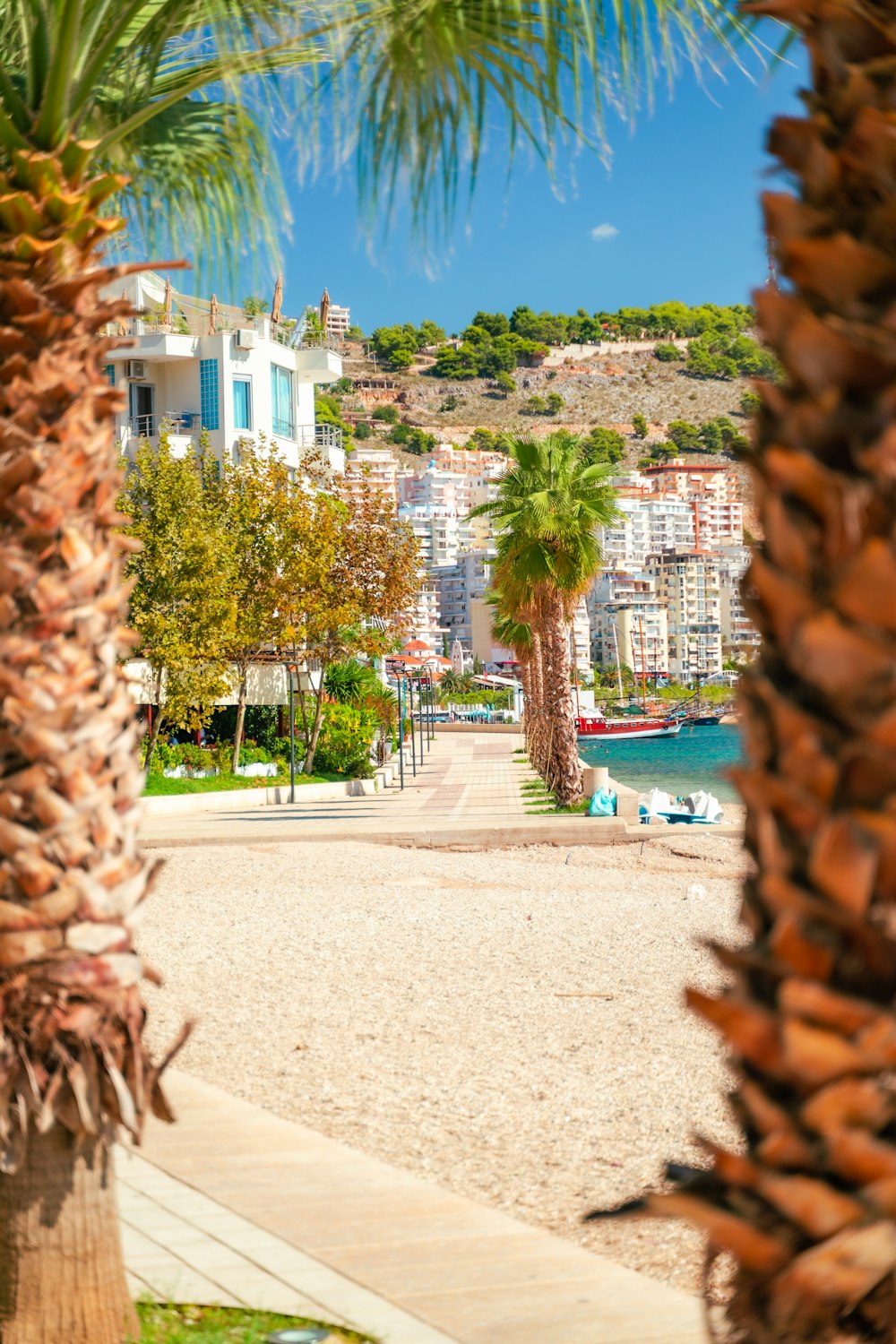 a walkway with palm trees and buildings