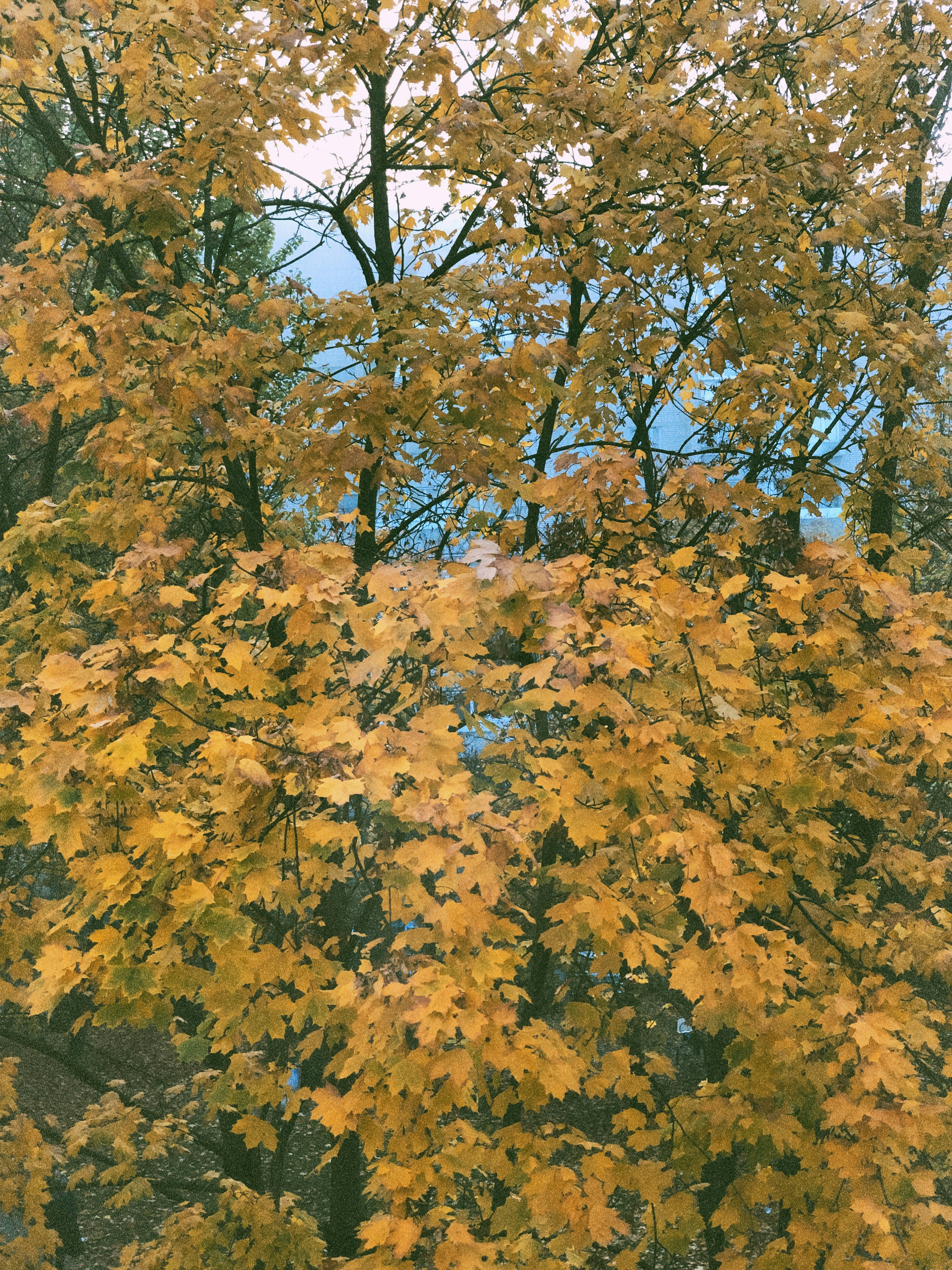 Photo by inna_lobacheva