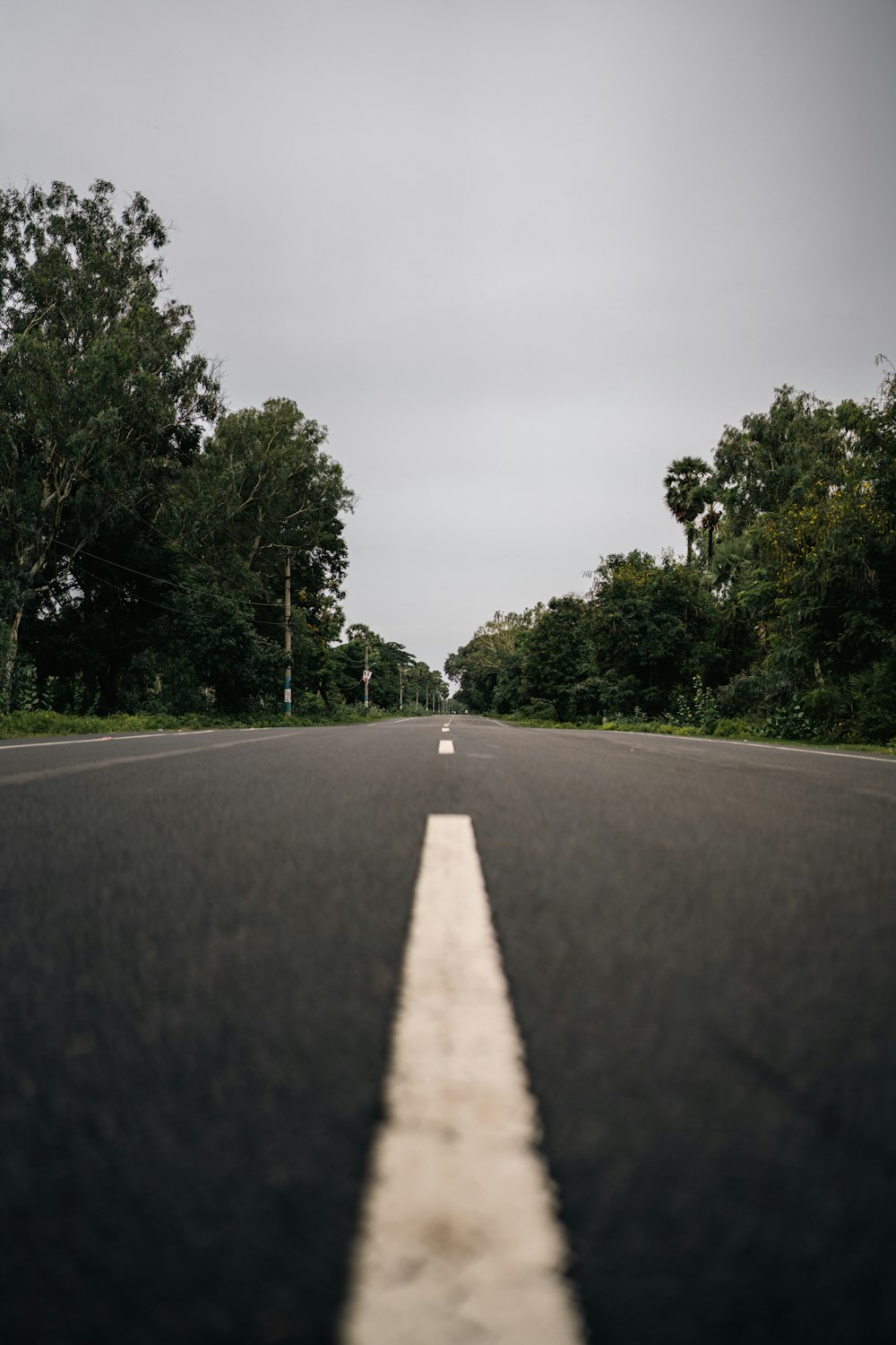 uma estrada com árvores ao lado