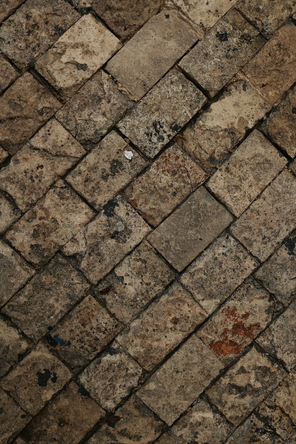 a close up of a tile floor