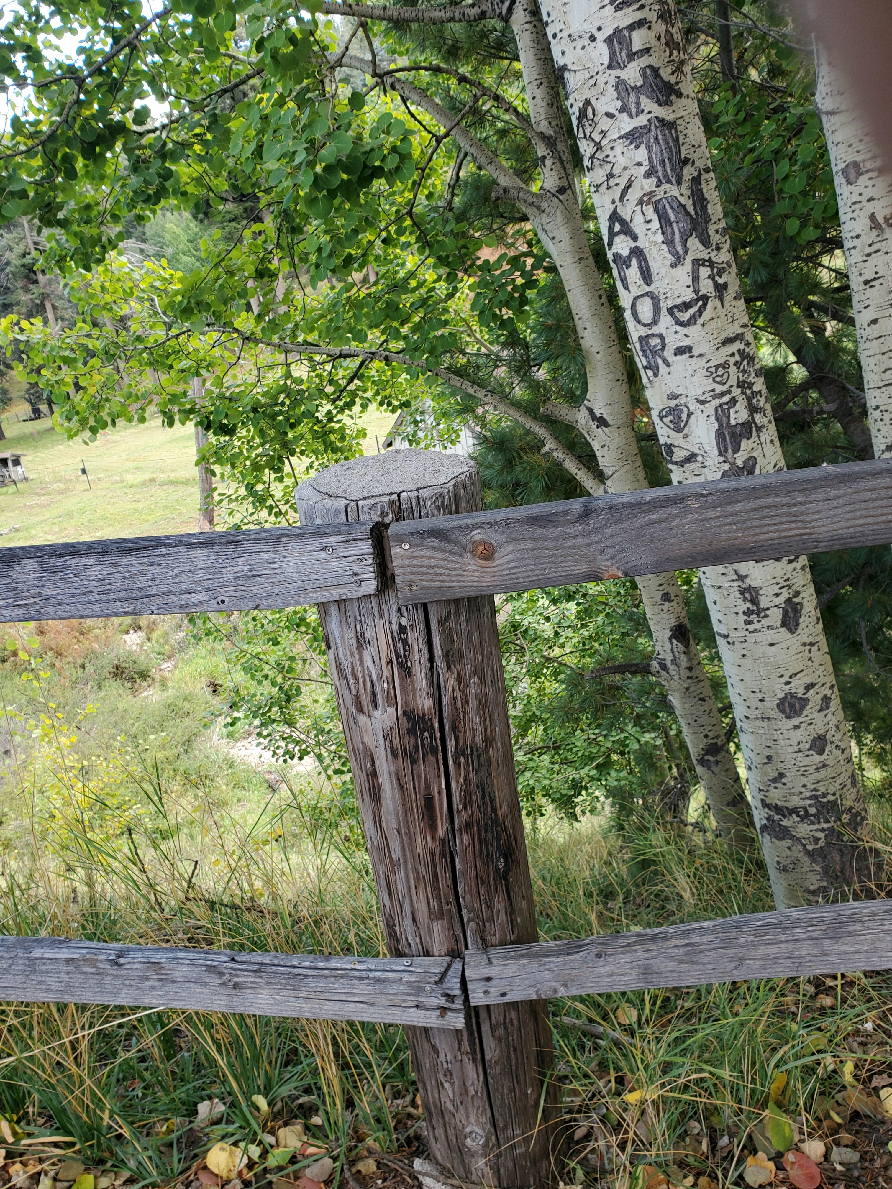 Rustic Garden Sign